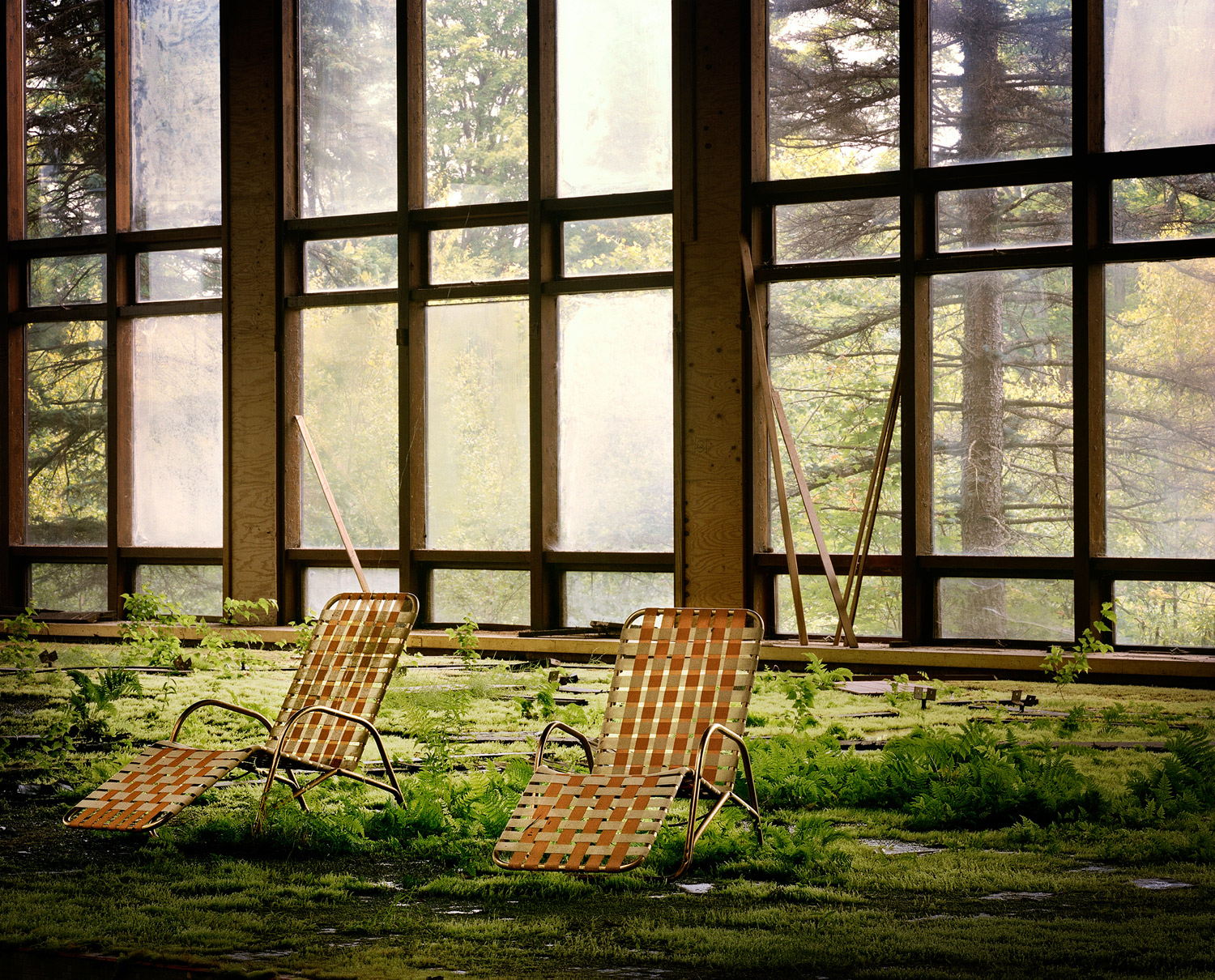 Grass grows through the floor of the indoor pool, Grossinger's Hotel, 2010
