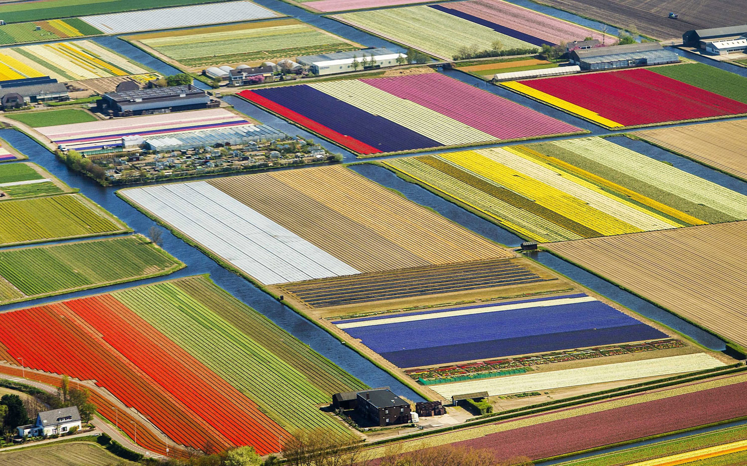 COLOURFUL QUILT