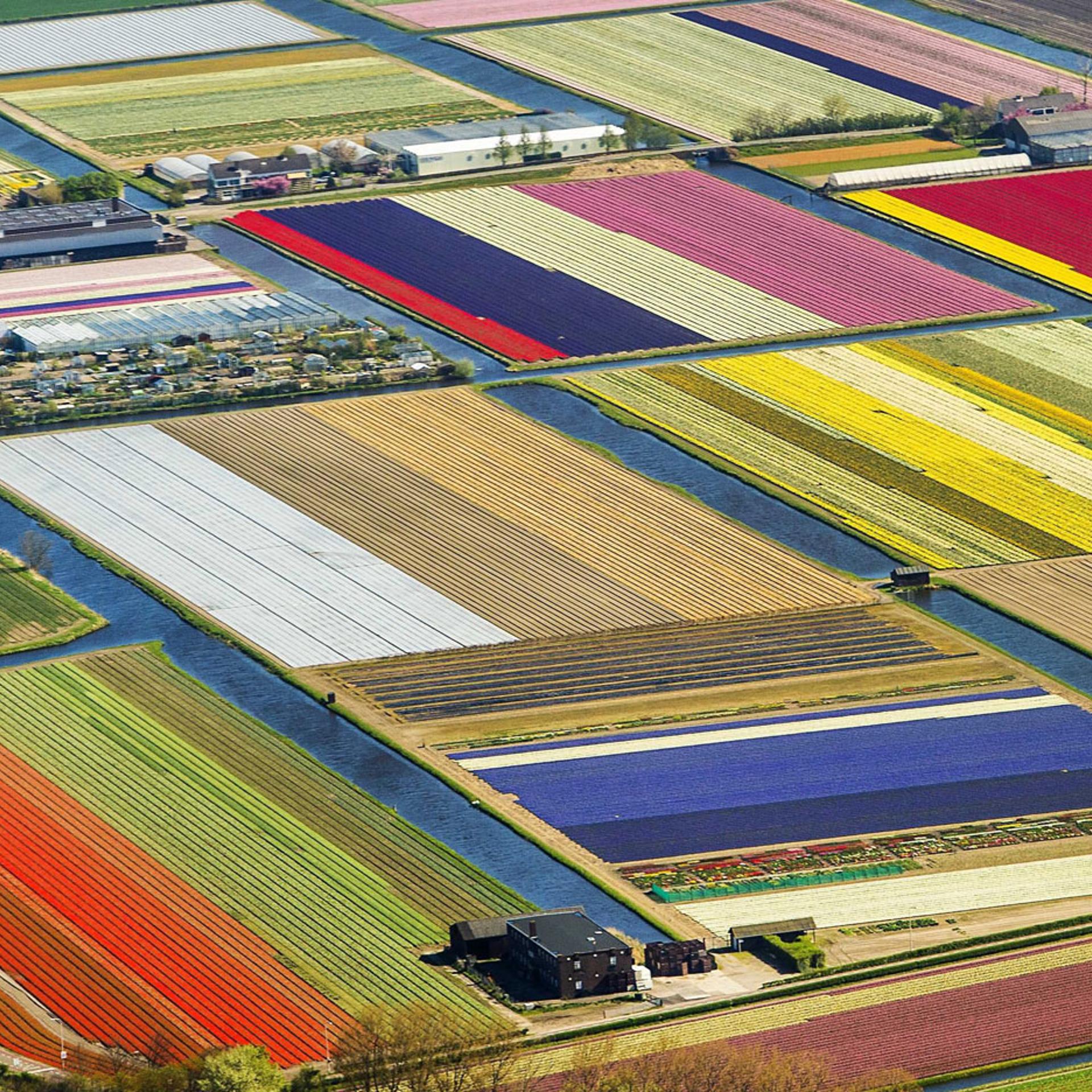 COLOURFUL QUILT