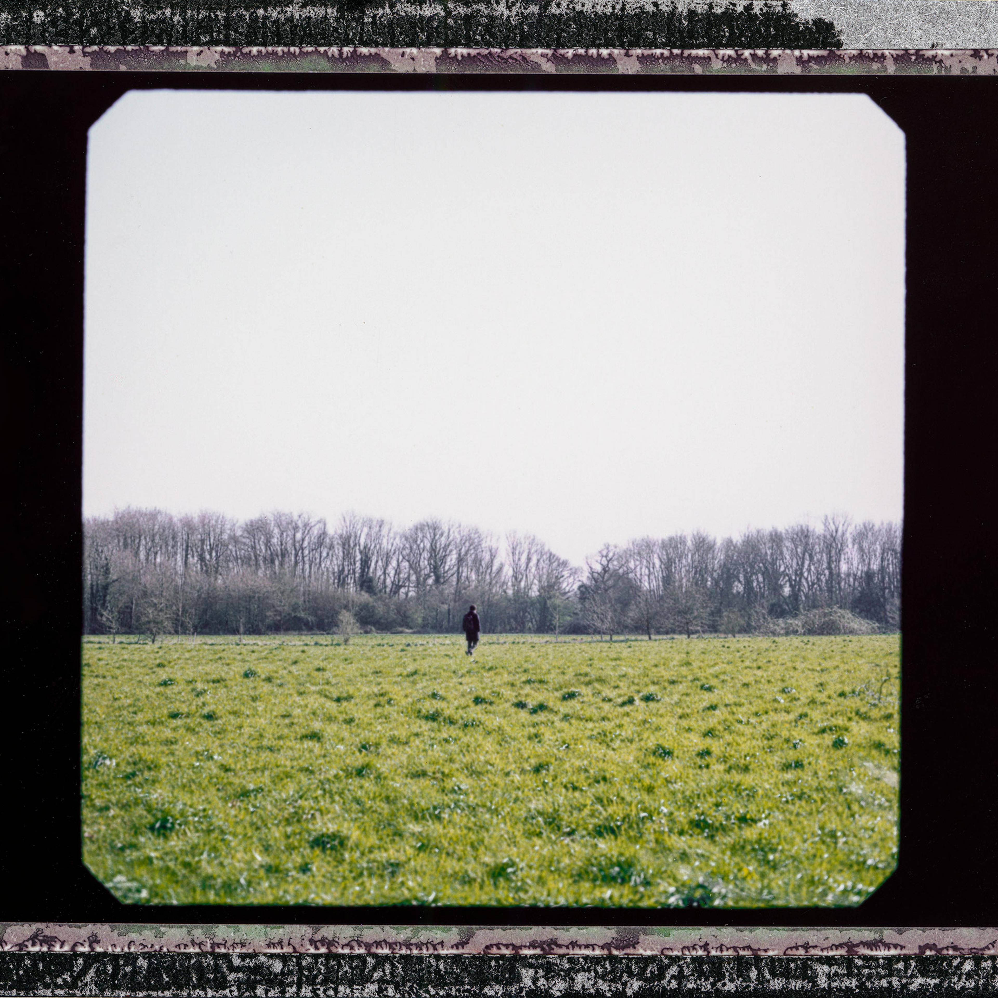A person walking alone in a field