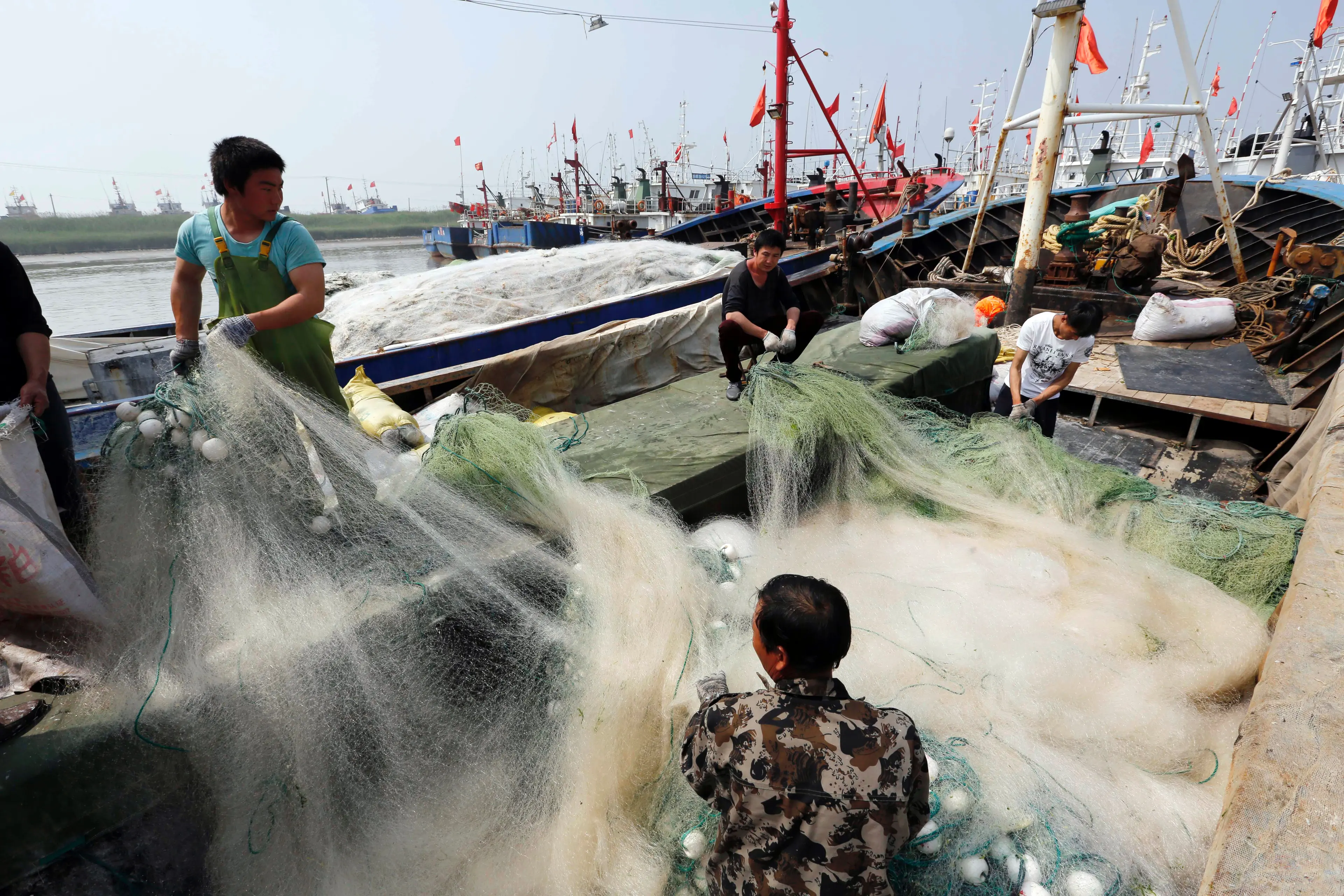 china net fishing Buy Jaal Ring Net, Case Size 10/16 60 Feet Long Net with 49 PVC-Coated Iron Rings, 7kg Weight, Online at Low Prices in India High-Quality China Ring Fishing Net,