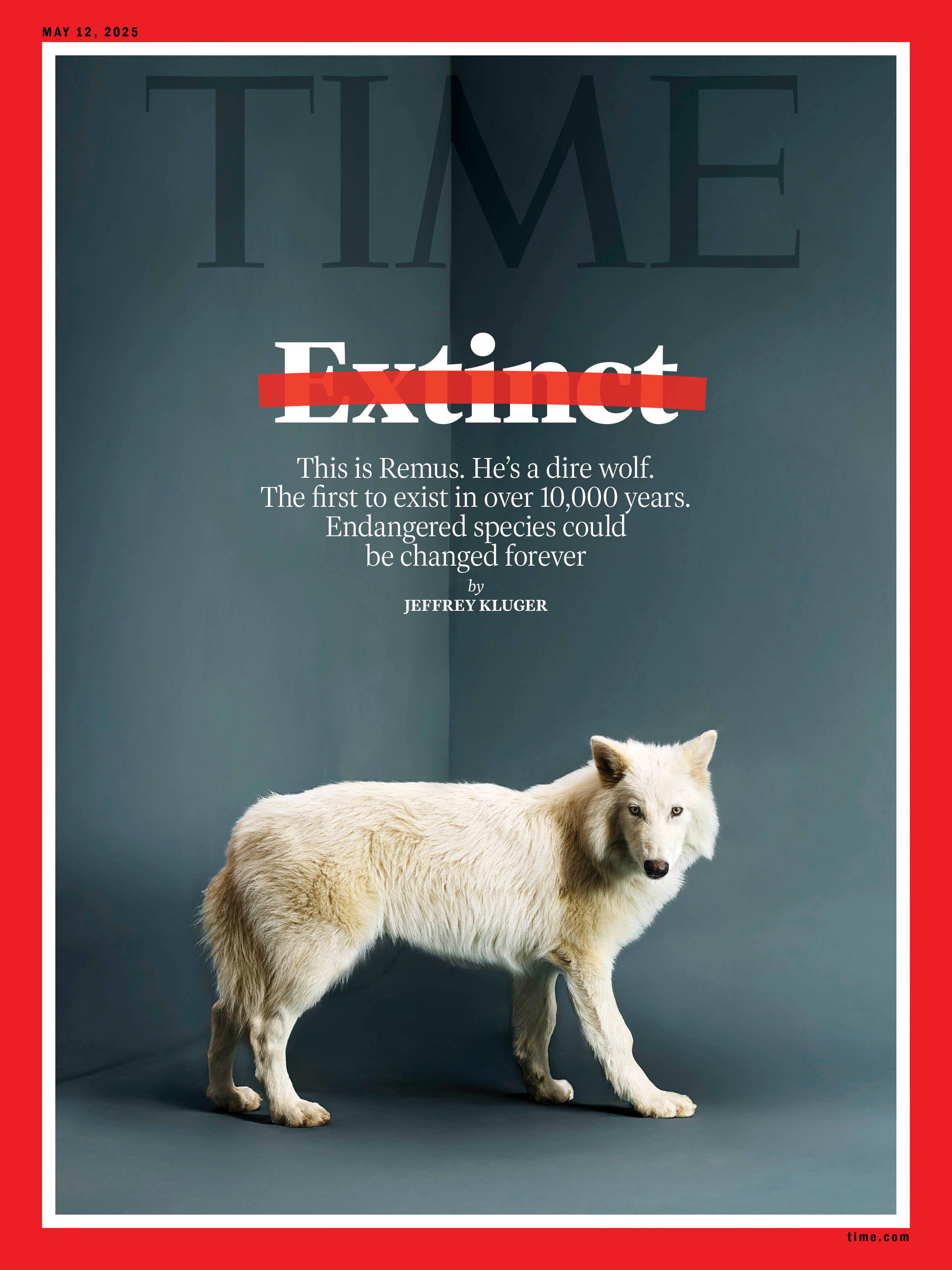 The Return of the Dire Wolf