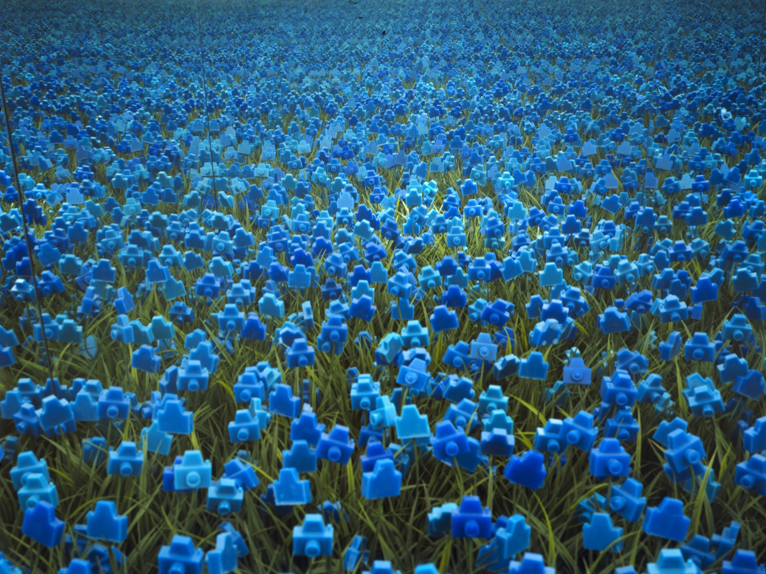Photographic Flowers<br /><br />UPI commissioned Brazilian artist André Feliciano to create an interactive installation of his "camera flowers"