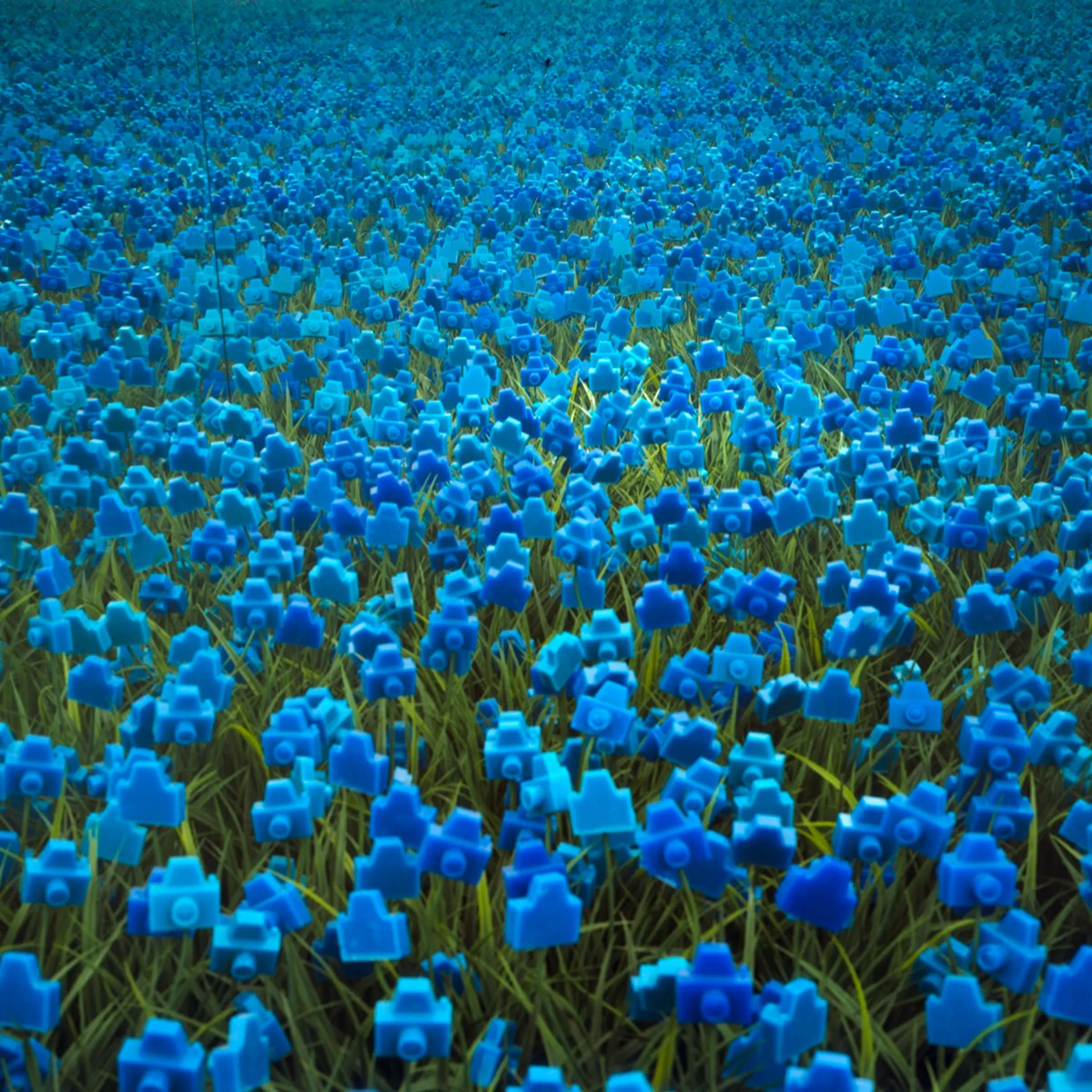 Photographic Flowers<br /><br />UPI commissioned Brazilian artist André Feliciano to create an interactive installation of his "camera flowers"
