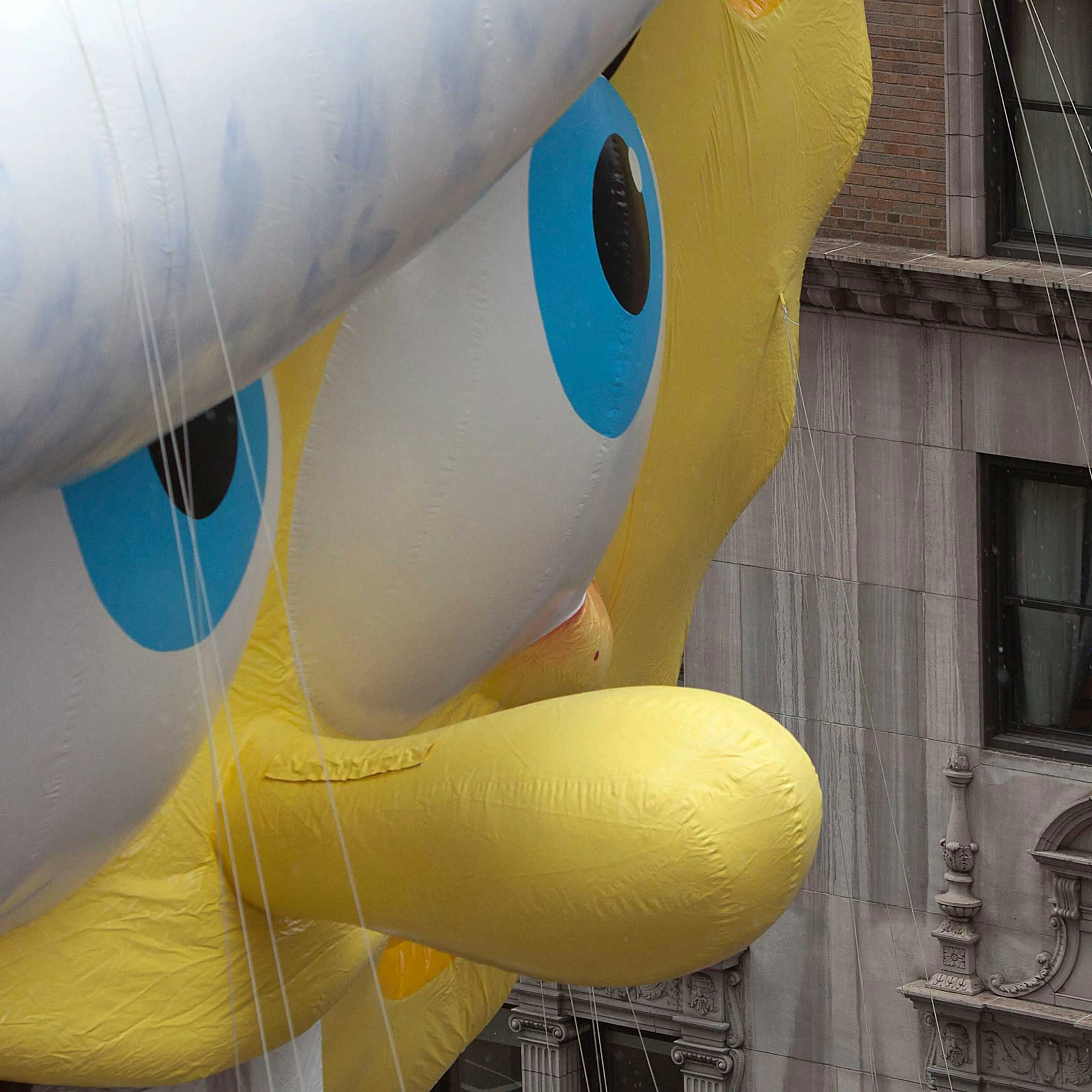 The Sponge Bob Squarepants float makes its way down 6th Ave during the Macy's Thanksgiving Day Parade in New York
