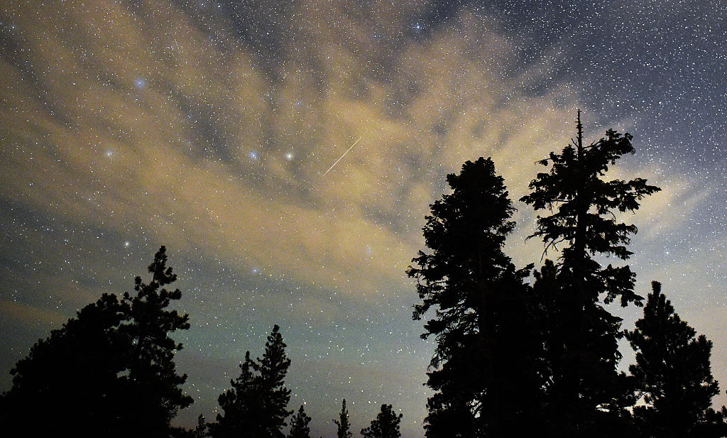 A Perseid meteor streaks across the sky above desert pine trees on August 13, 2015 in the Spring Mountains National Recreation Area, Nevada.
