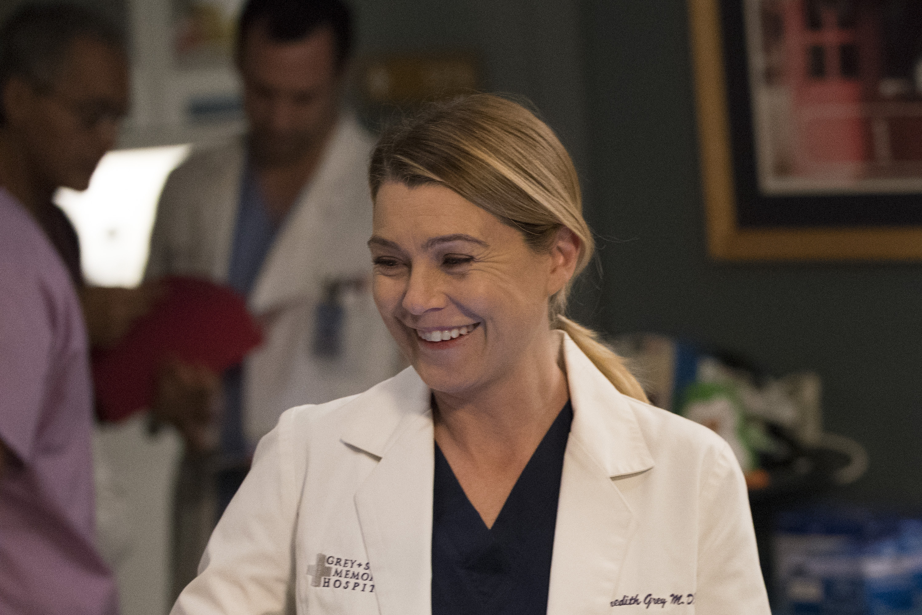 ABC's "Grey's Anatomy" - Season Fourteen