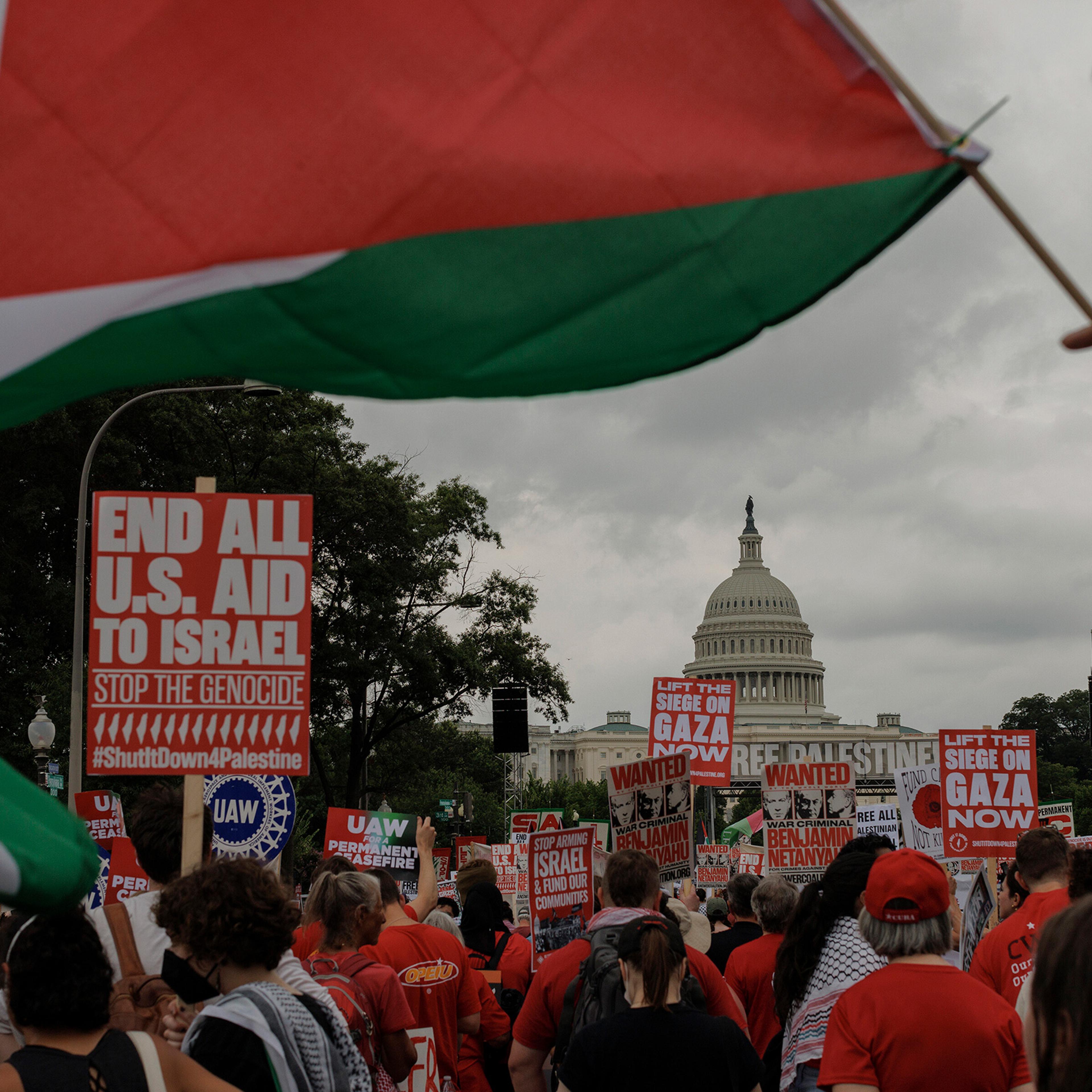 Pro-Palestinian demonstrators gather near the U.S. Capitol in Washington ahead of an address by Prime Minister Benjamin Netanyahu of Israel to a joint session of Congress on July 24.