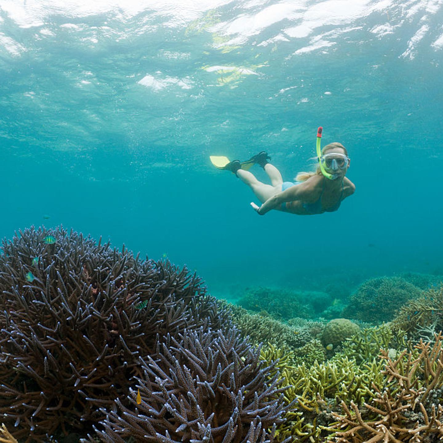 Snorkeling in Palau