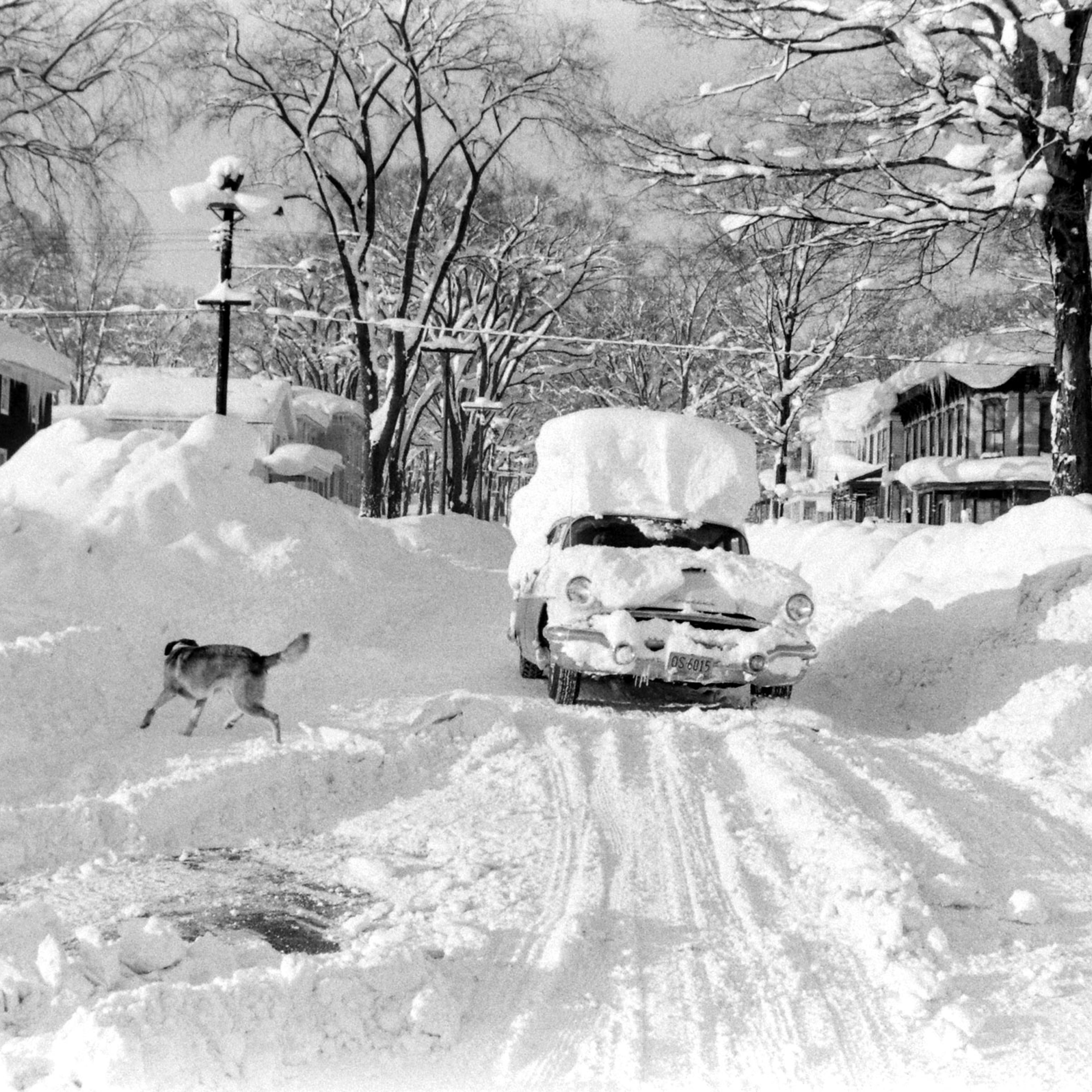 Scene from a snow storm in Oswego, New York, on December 1958 that dropped over 6 feet of snow.