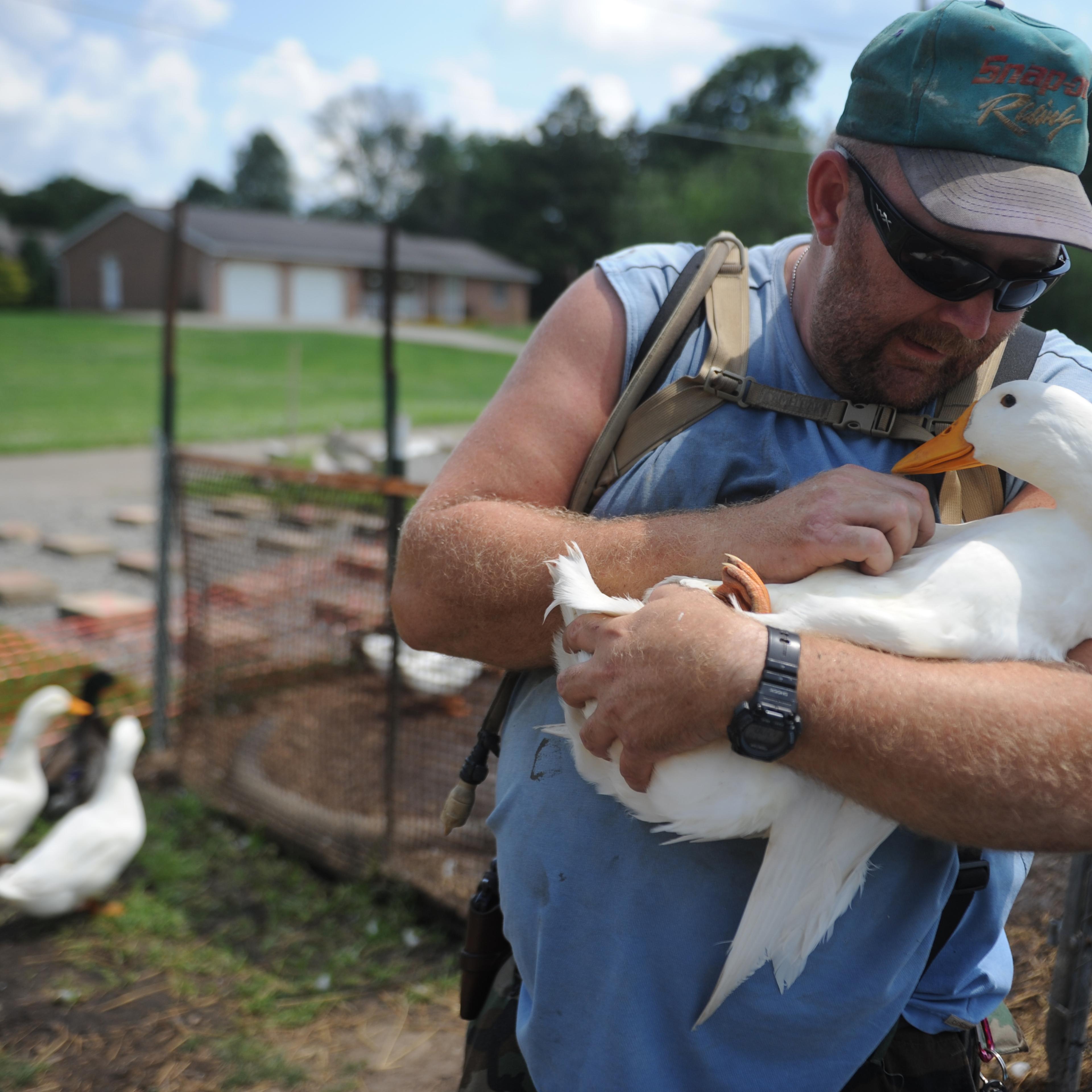Iraq war veteran Darin Welker holds one of his ducks at his home in West Lafayette, Ohio on July 10, 2014.