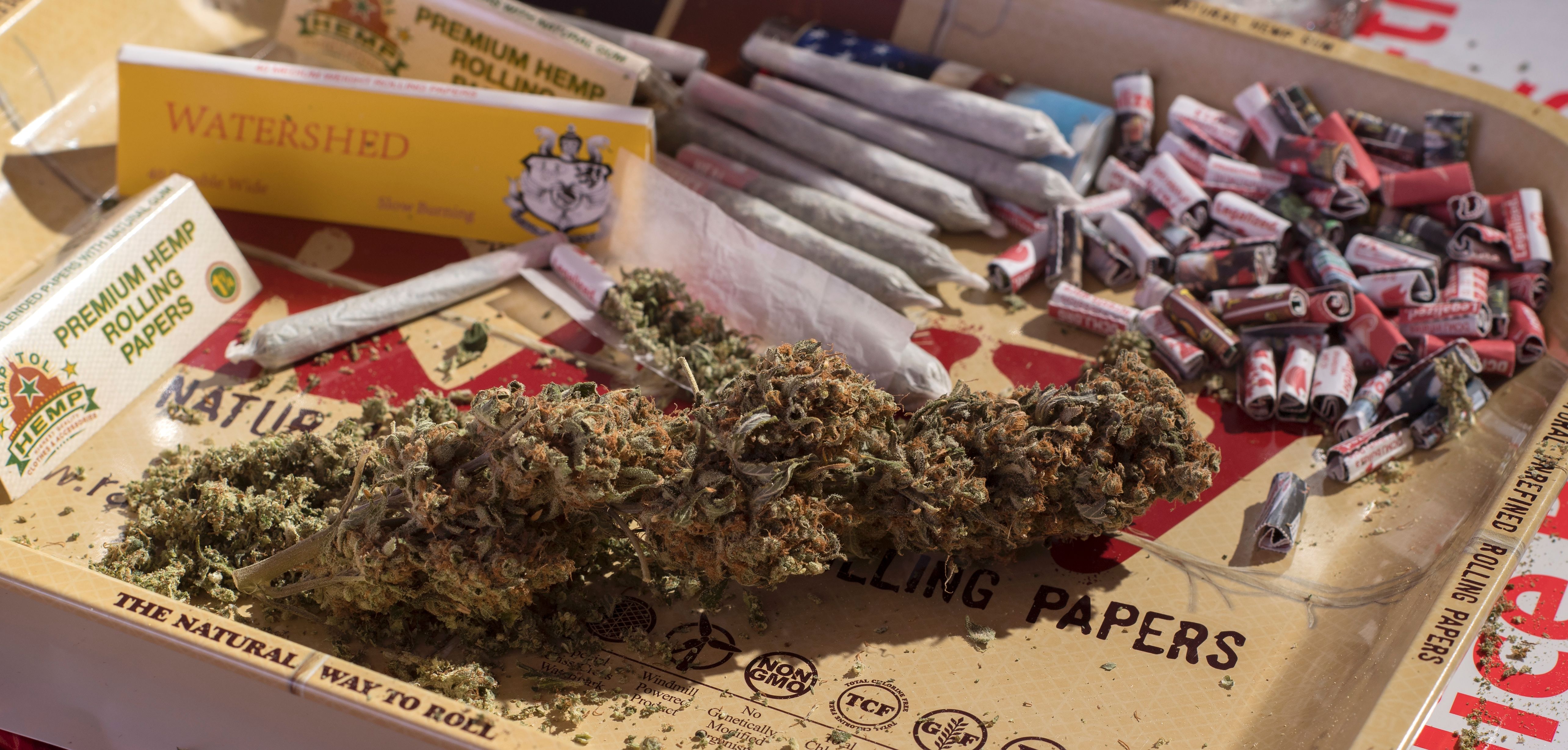 dcmj joint session congress marijuana 420 handout capitol hill