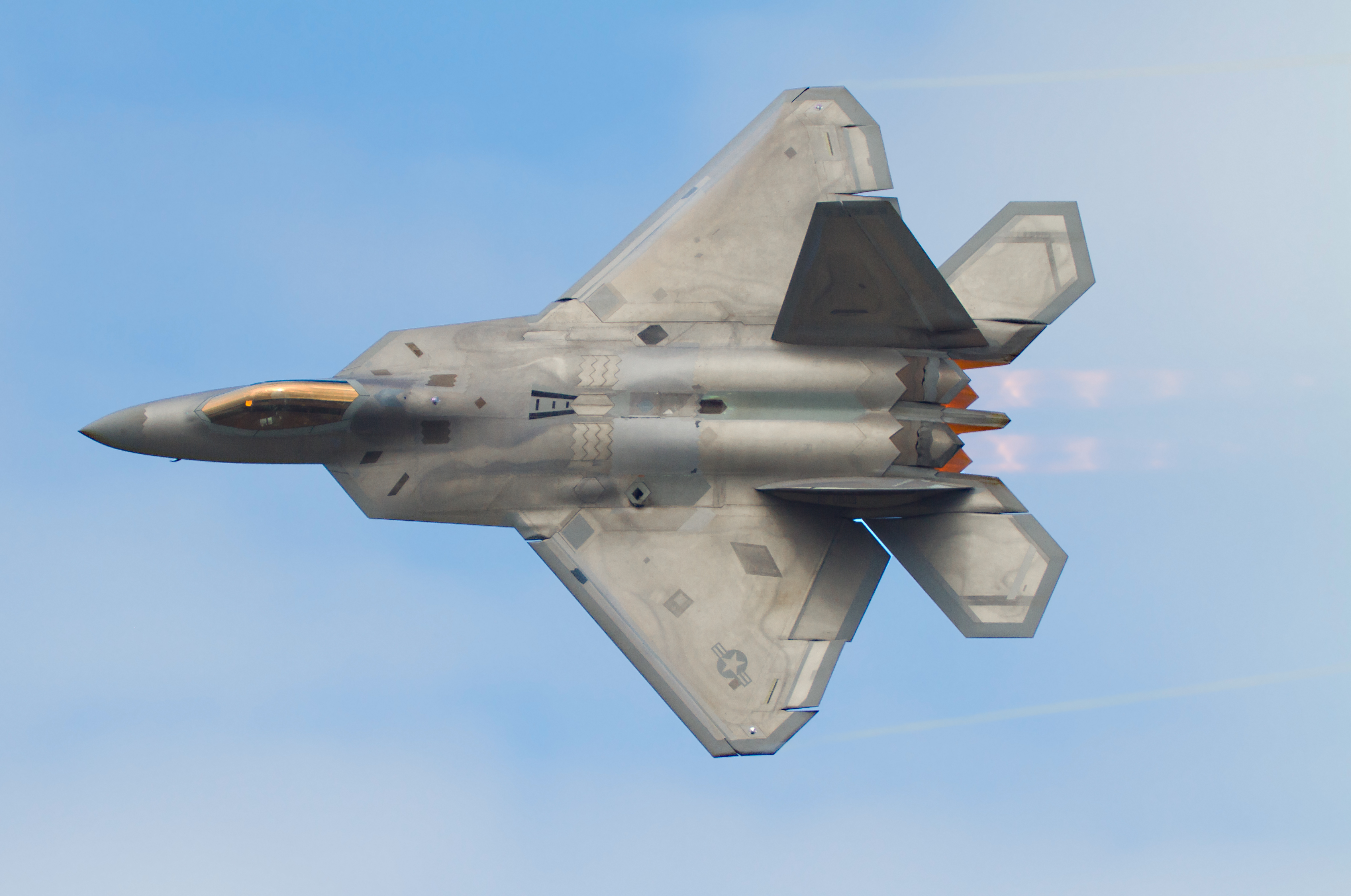 F-22 Raptor Dedication Pass