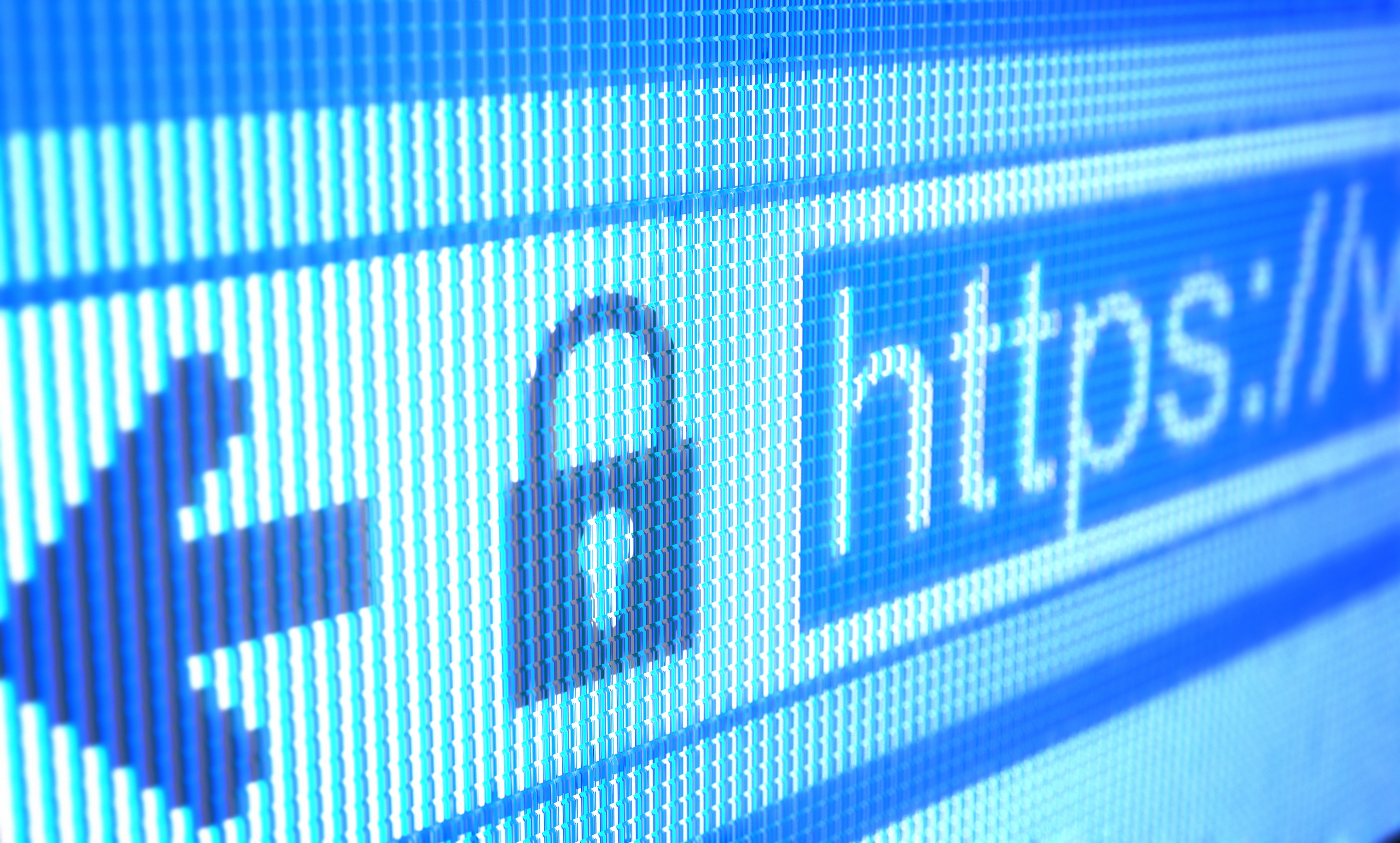 Secure website