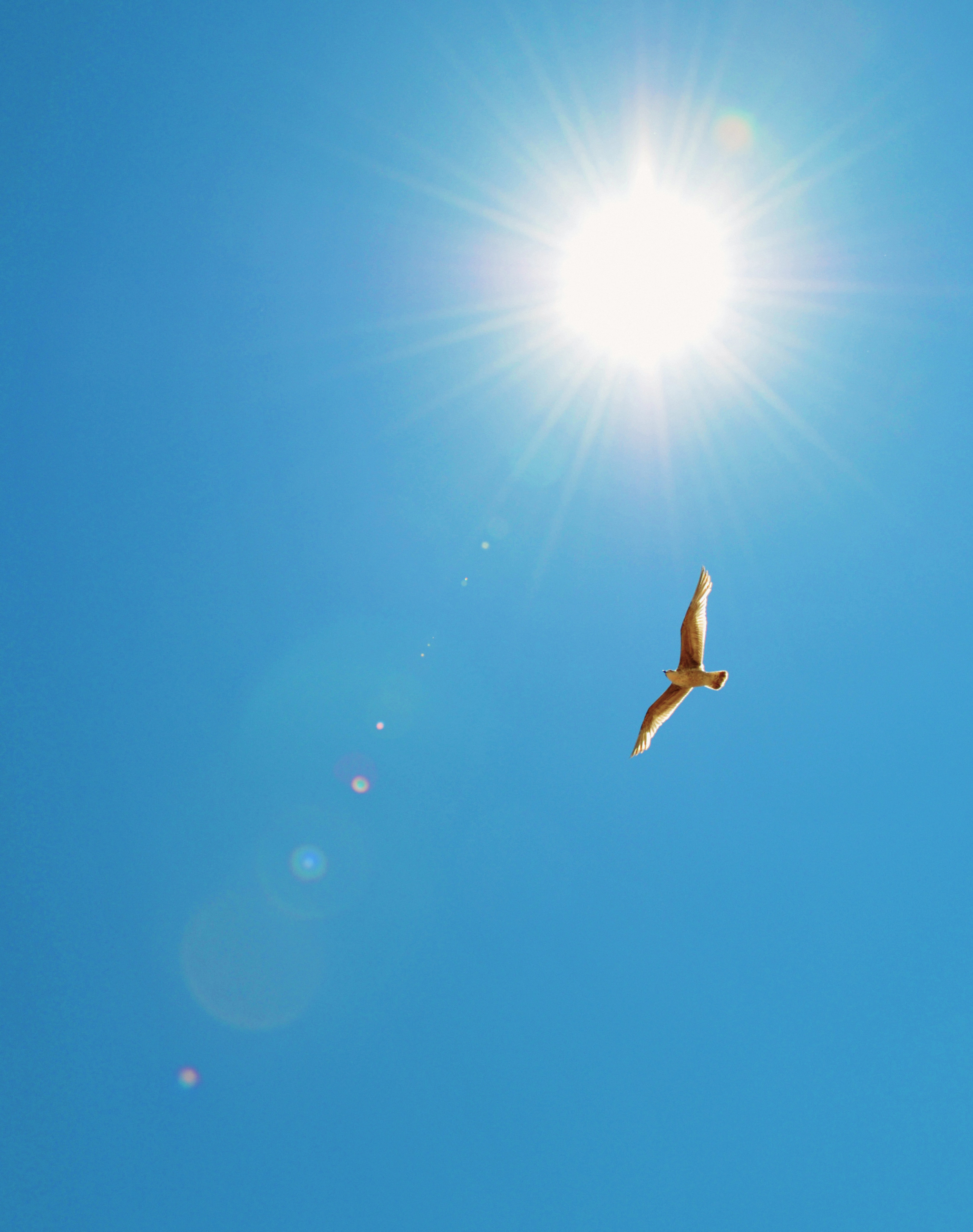 Sky