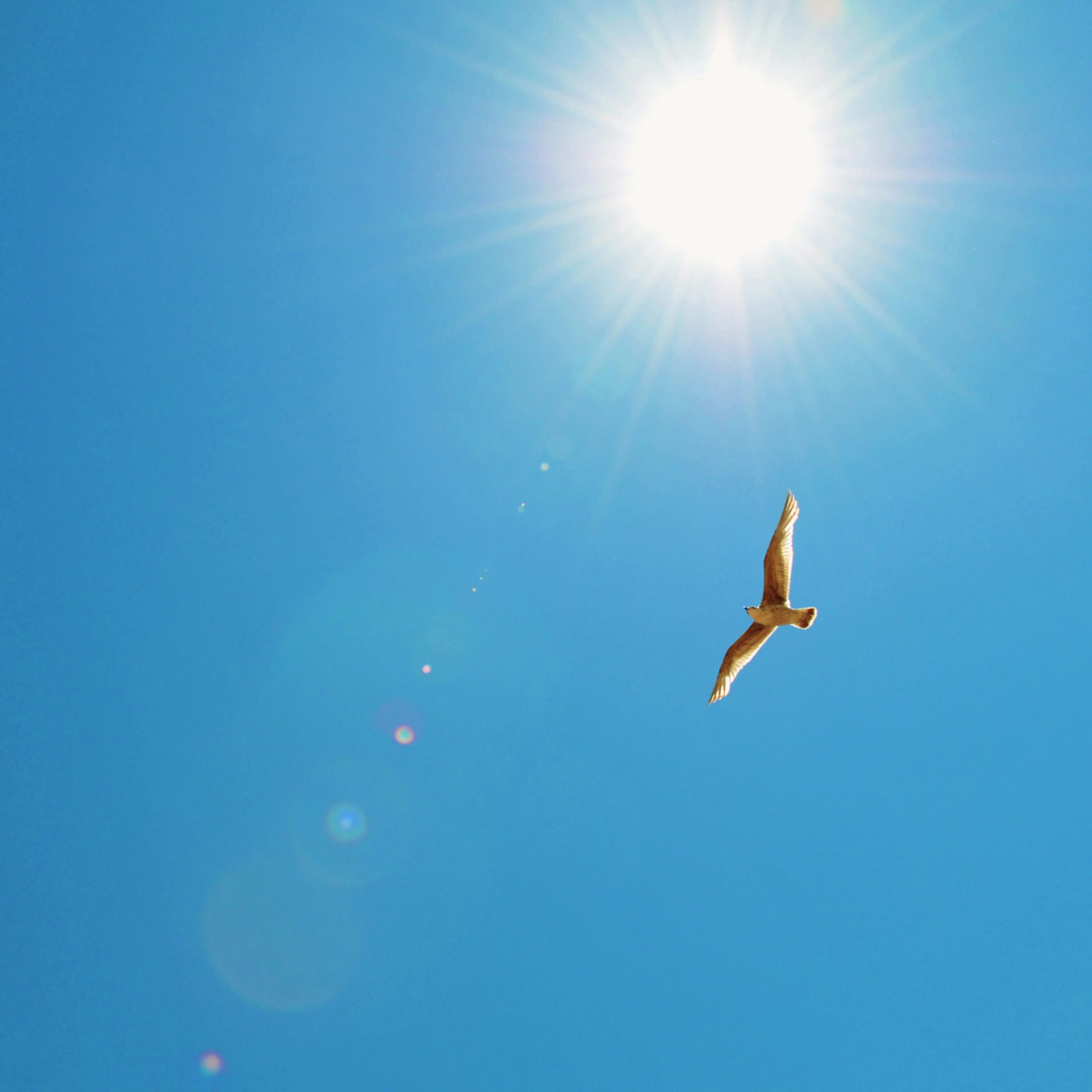 Sky
