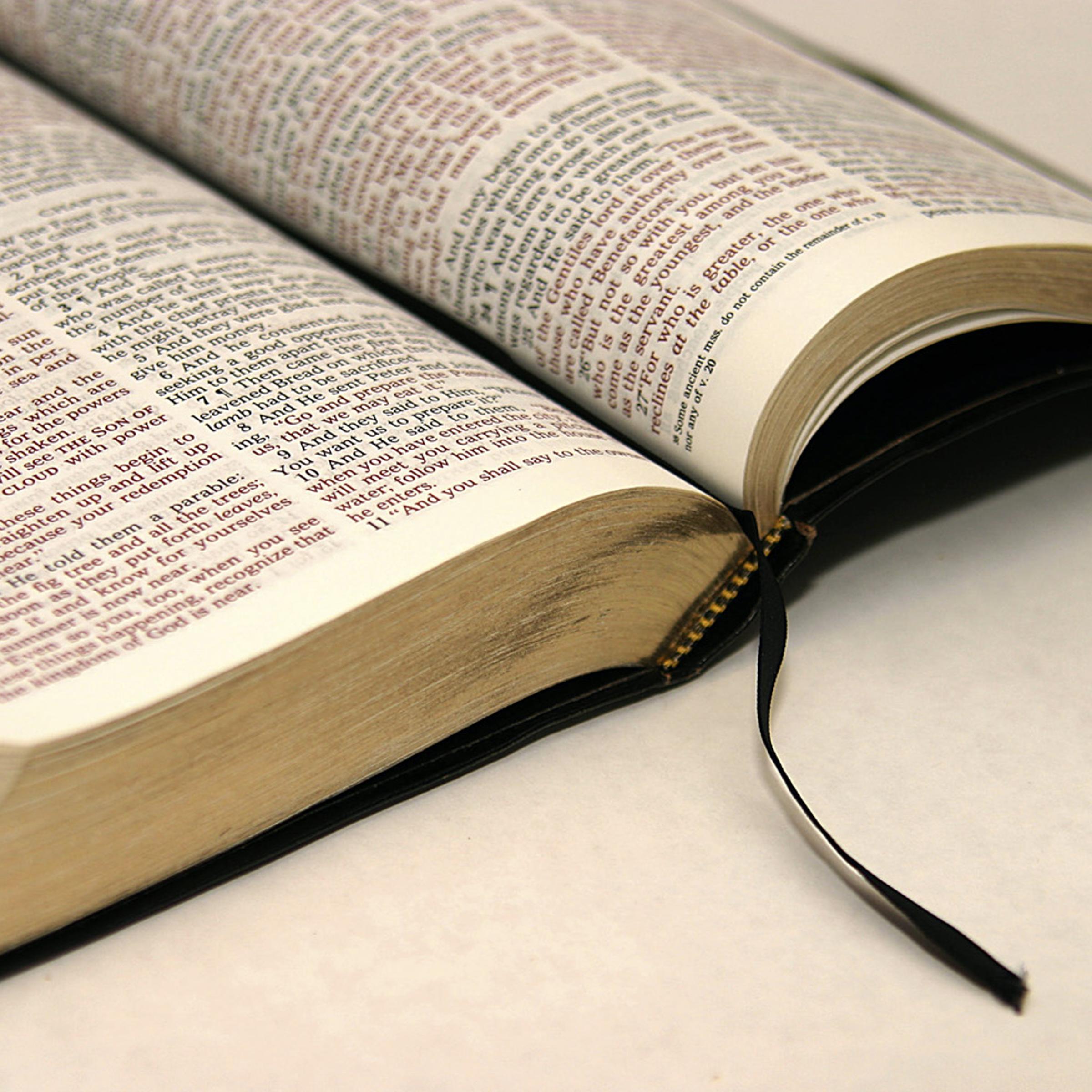 Bible could be official Louisiana state book