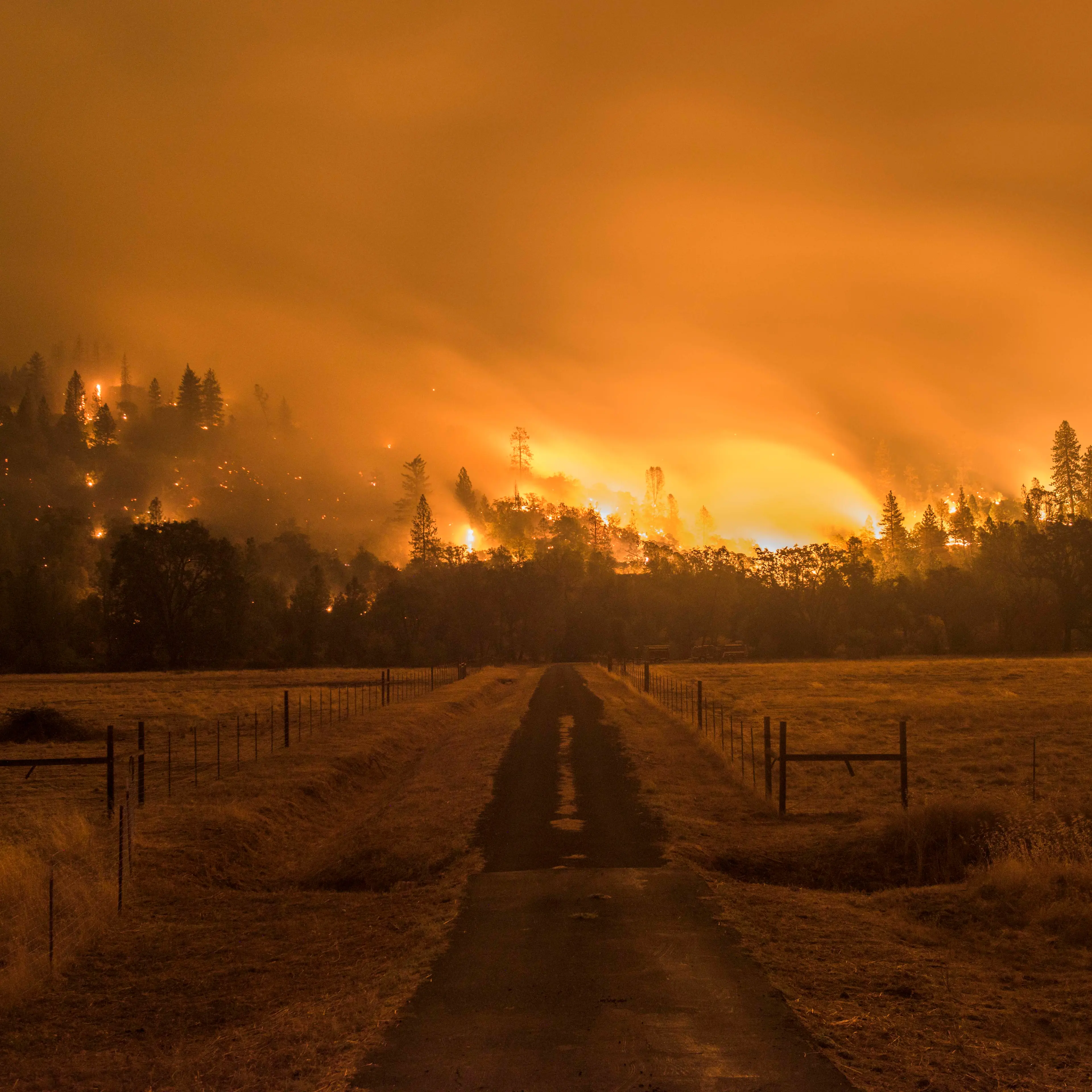 The Valley Fire burns off Highway 29 Sunday evening. Valley Fire in Lake and Sonoma Counties Sunday September 13th, 2015. As of Sunday evening the fire had burned over 50,000 acres and was 0% contained. The Associated Press reported that at least one per