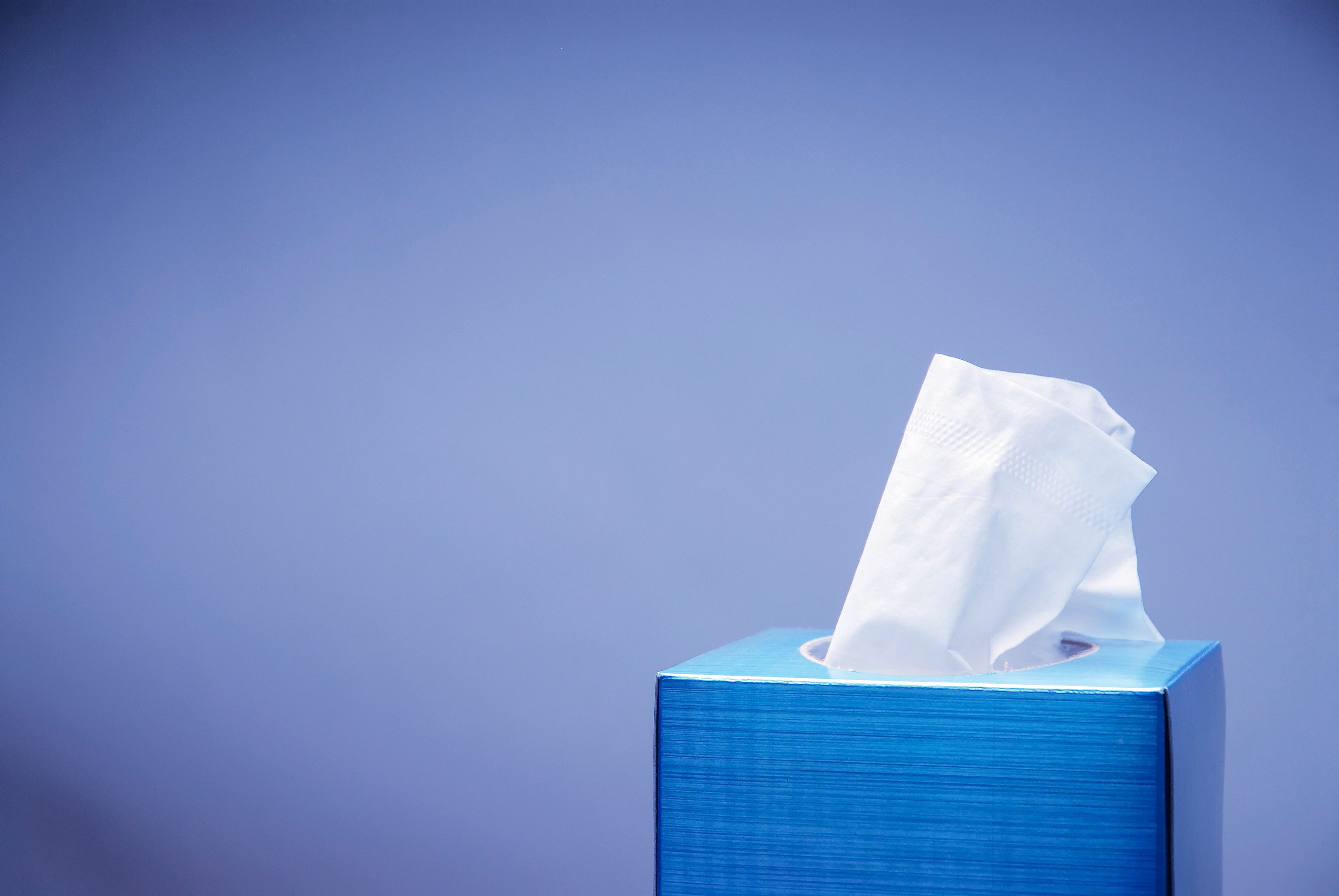 Blue tissue box with white tissue