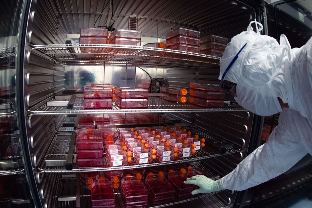 When Will There Be a Coronavirus Vaccine?