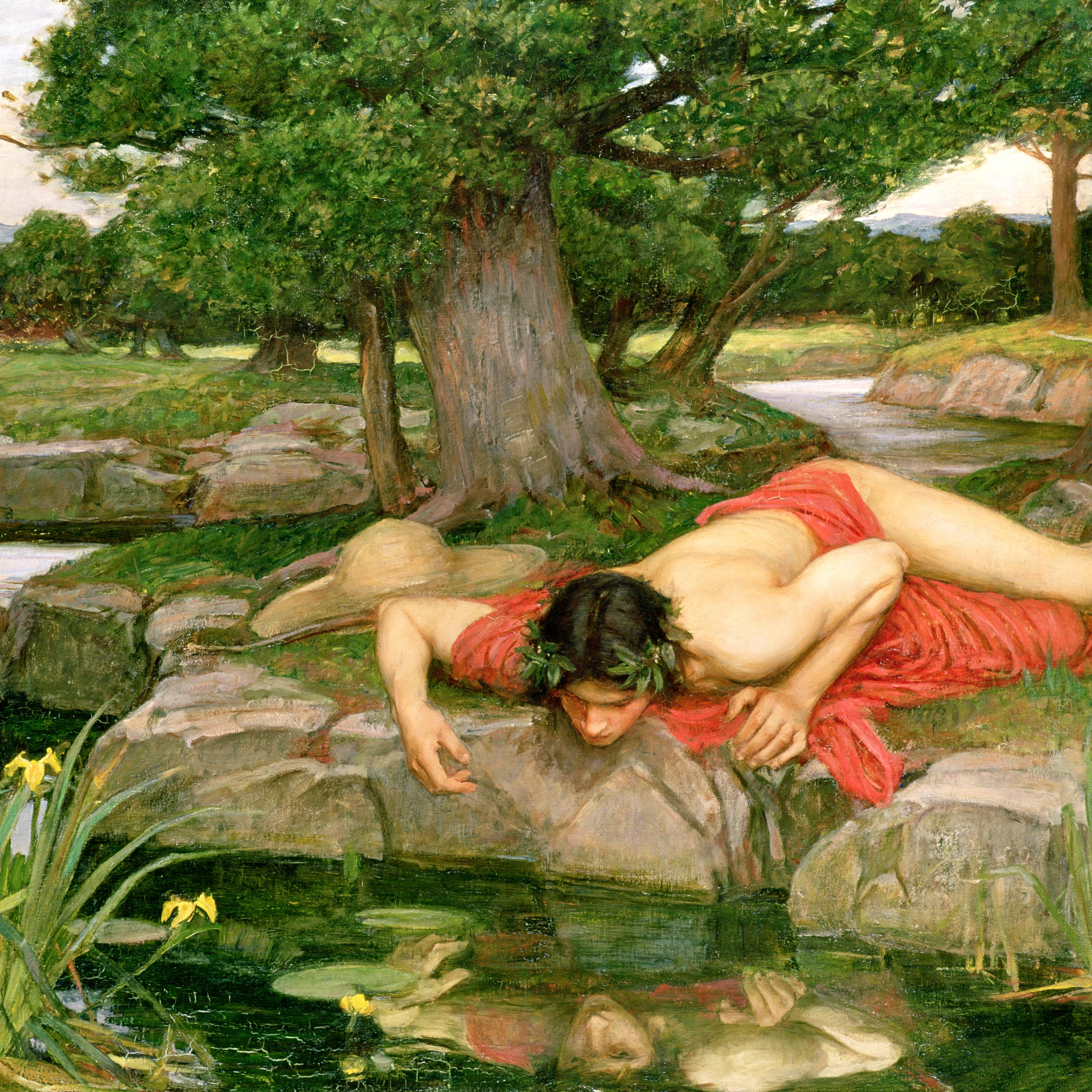 Like the view? The original Narcissus and his BFF
