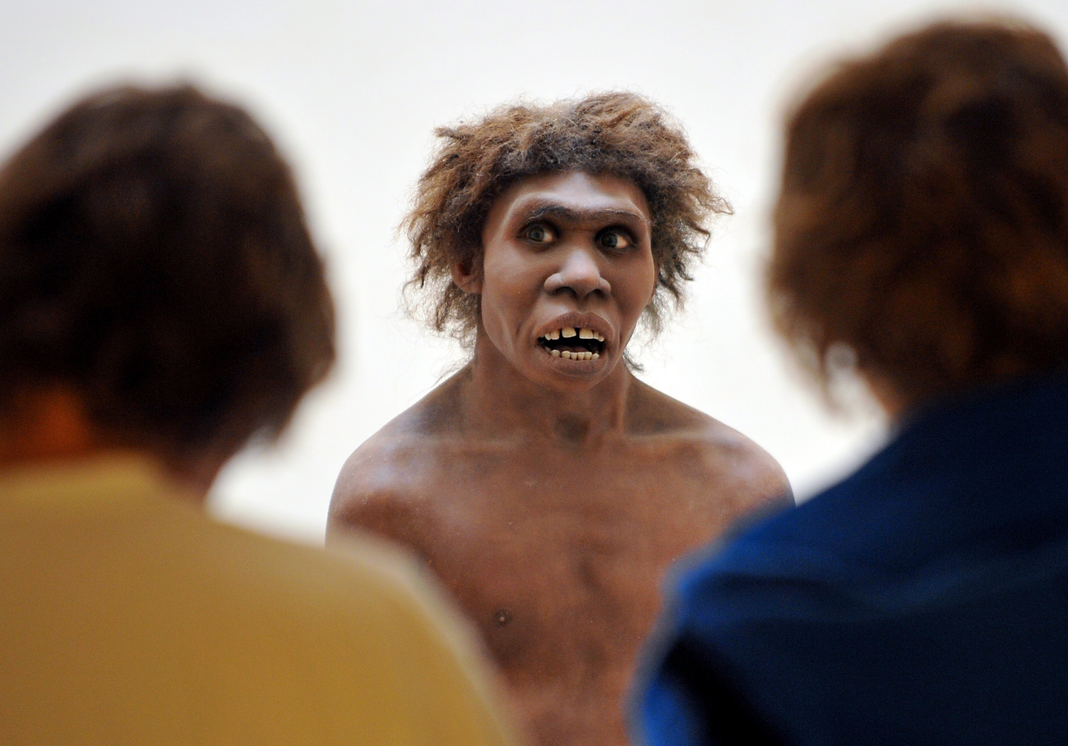 FRANCE-CULTURE-SCIENCES-NEANDERTHAL