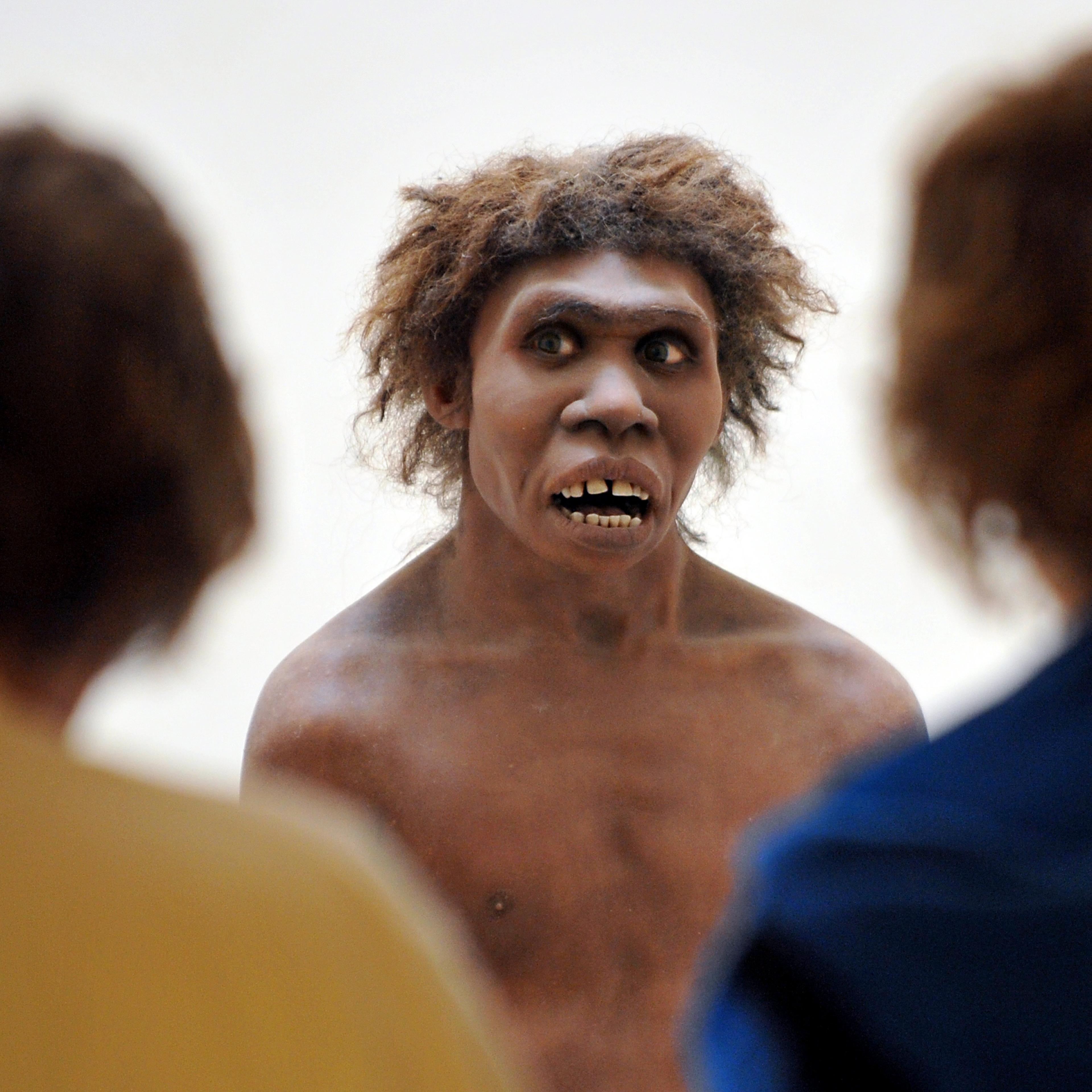 FRANCE-CULTURE-SCIENCES-NEANDERTHAL