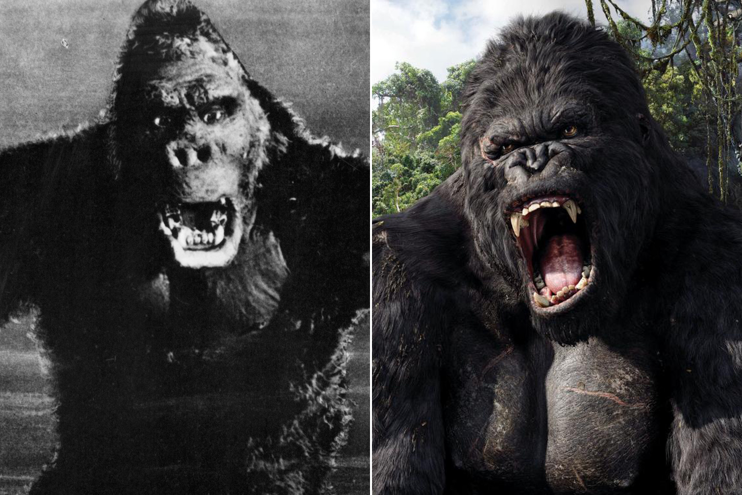 Movie Reboots