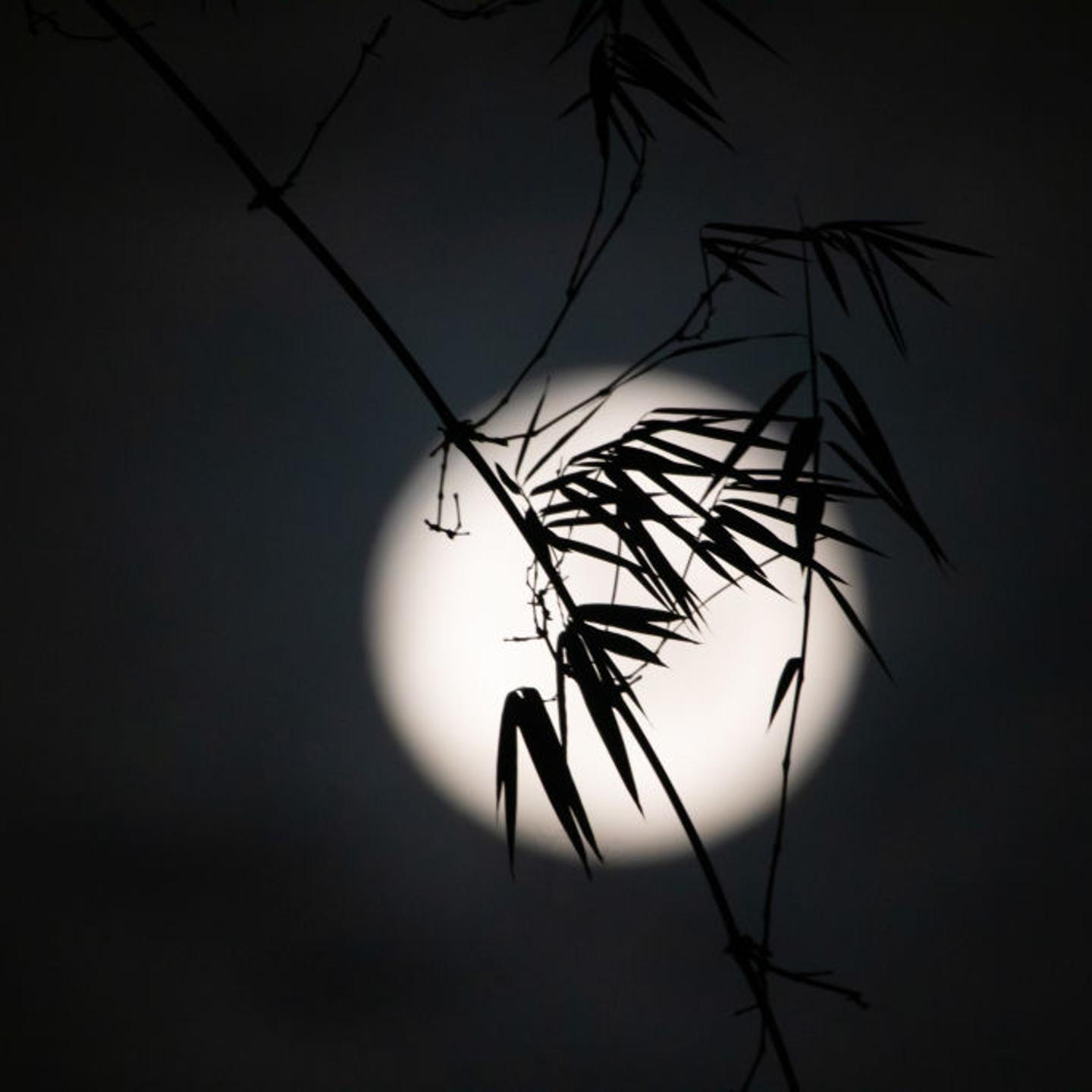 The full Harvest moon rises over the sky in Ungaran, Central Java Province, Indonesia on Sept. 11, 2022.
