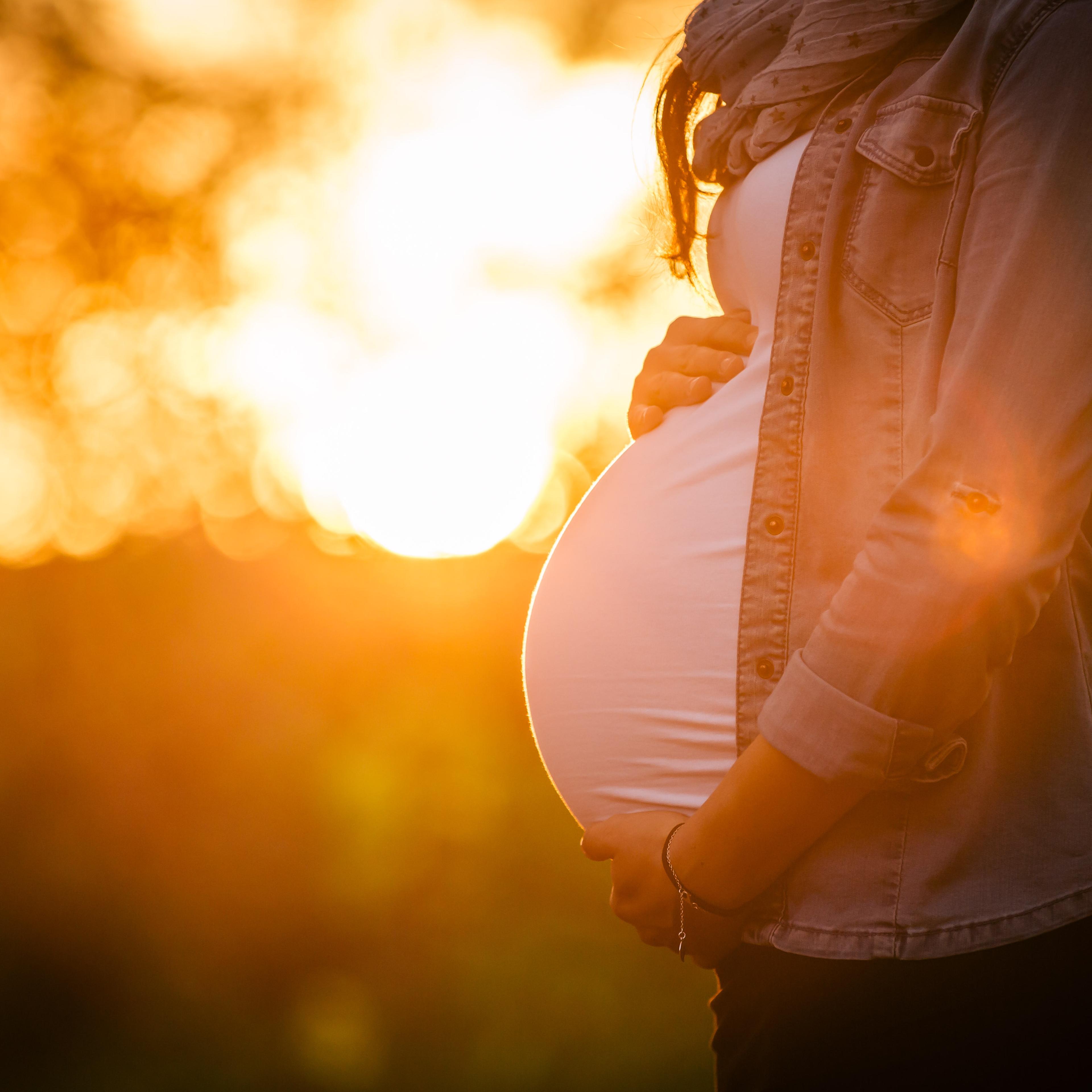 Midsection Of Pregnant Woman Standing At Forest