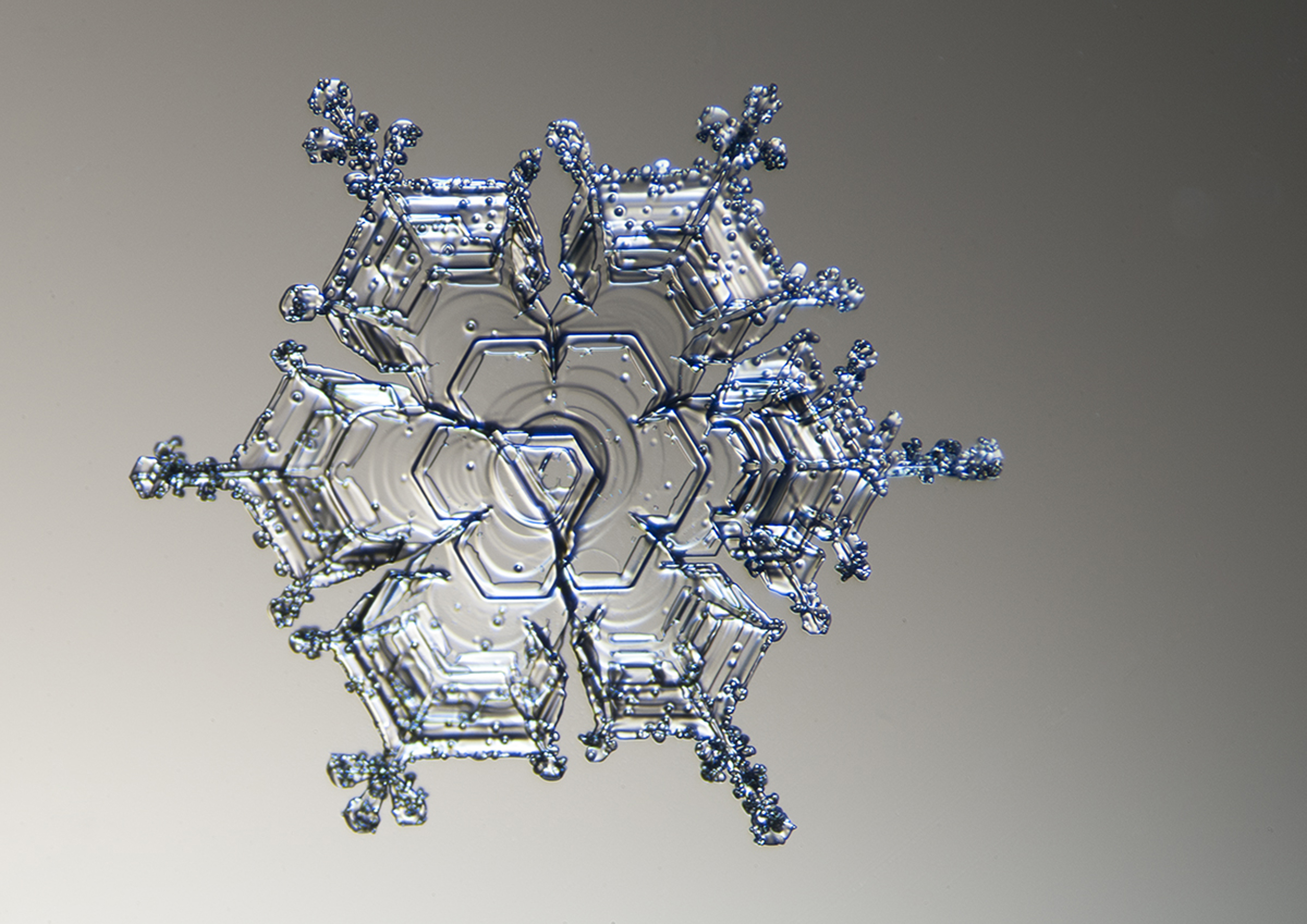 Snow flake