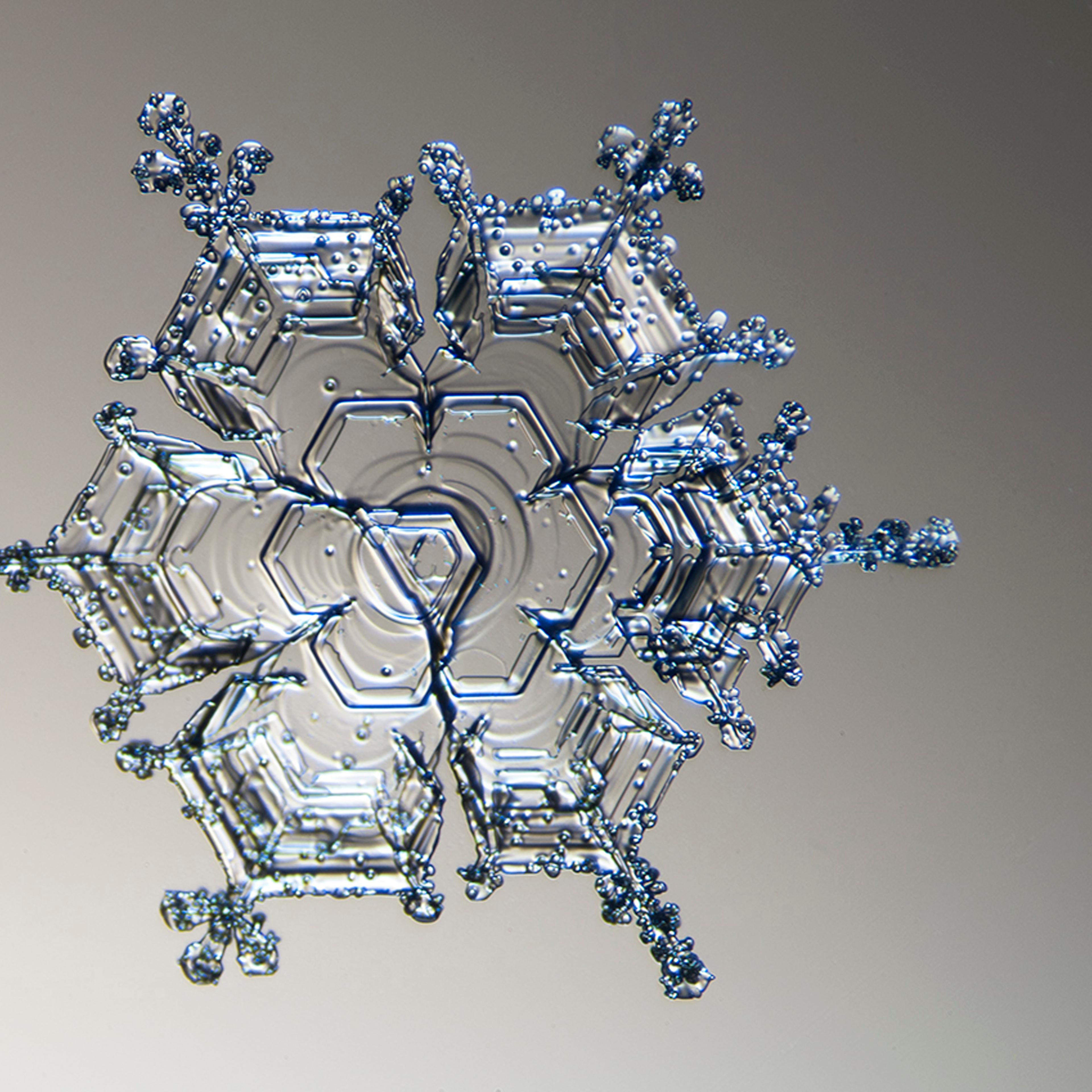 Snow flake