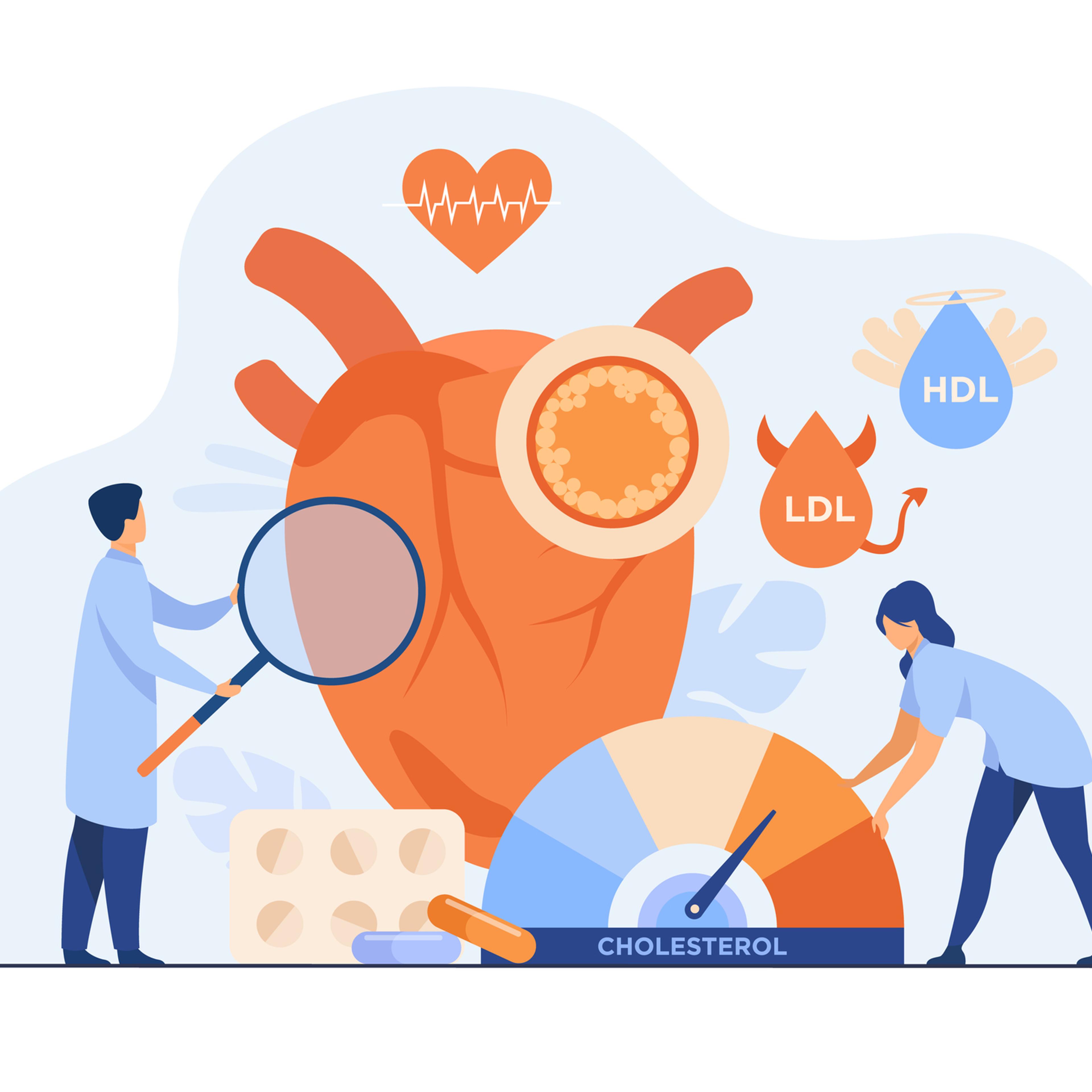 Heart disease risk concept