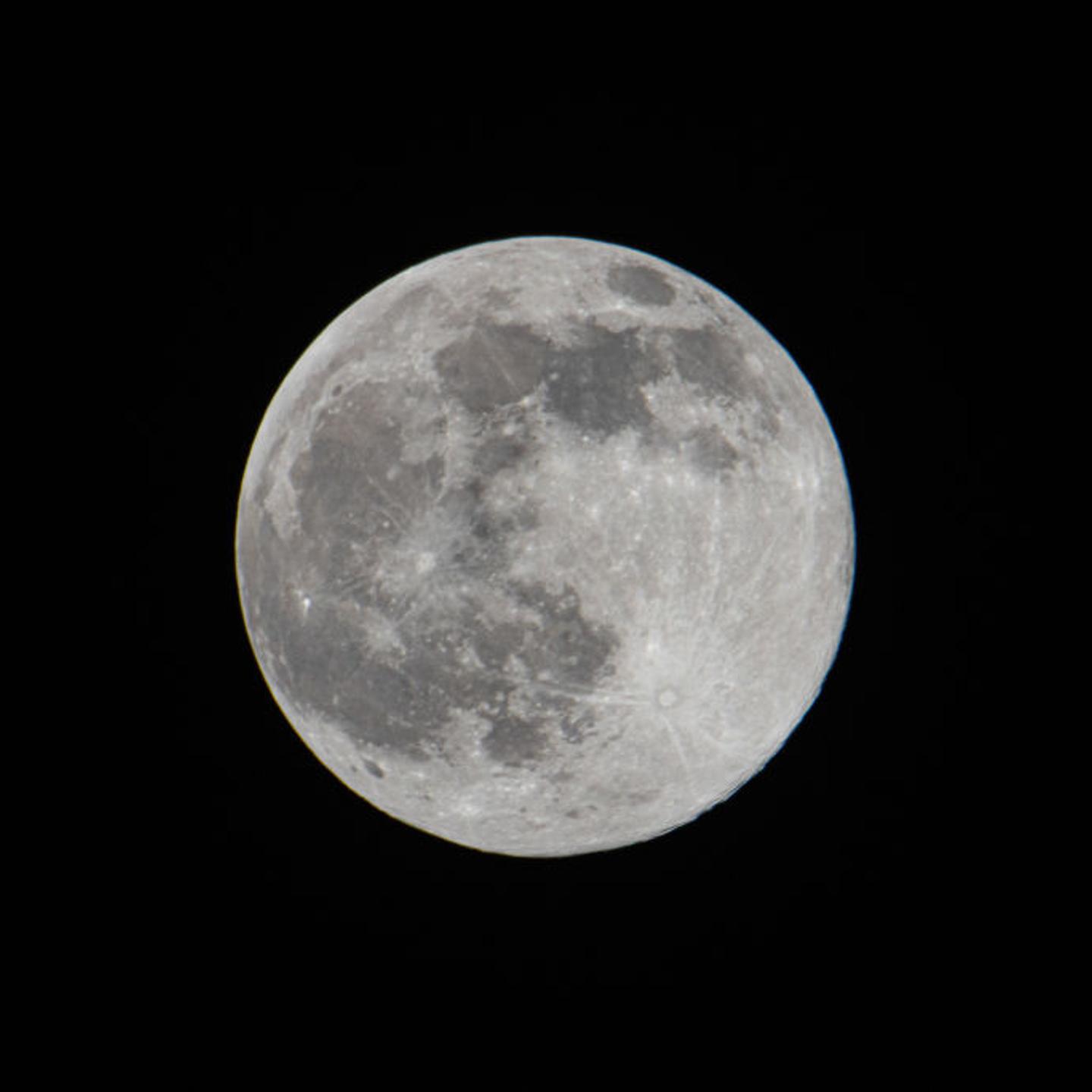 Full Wolf Moon In The Netherlands