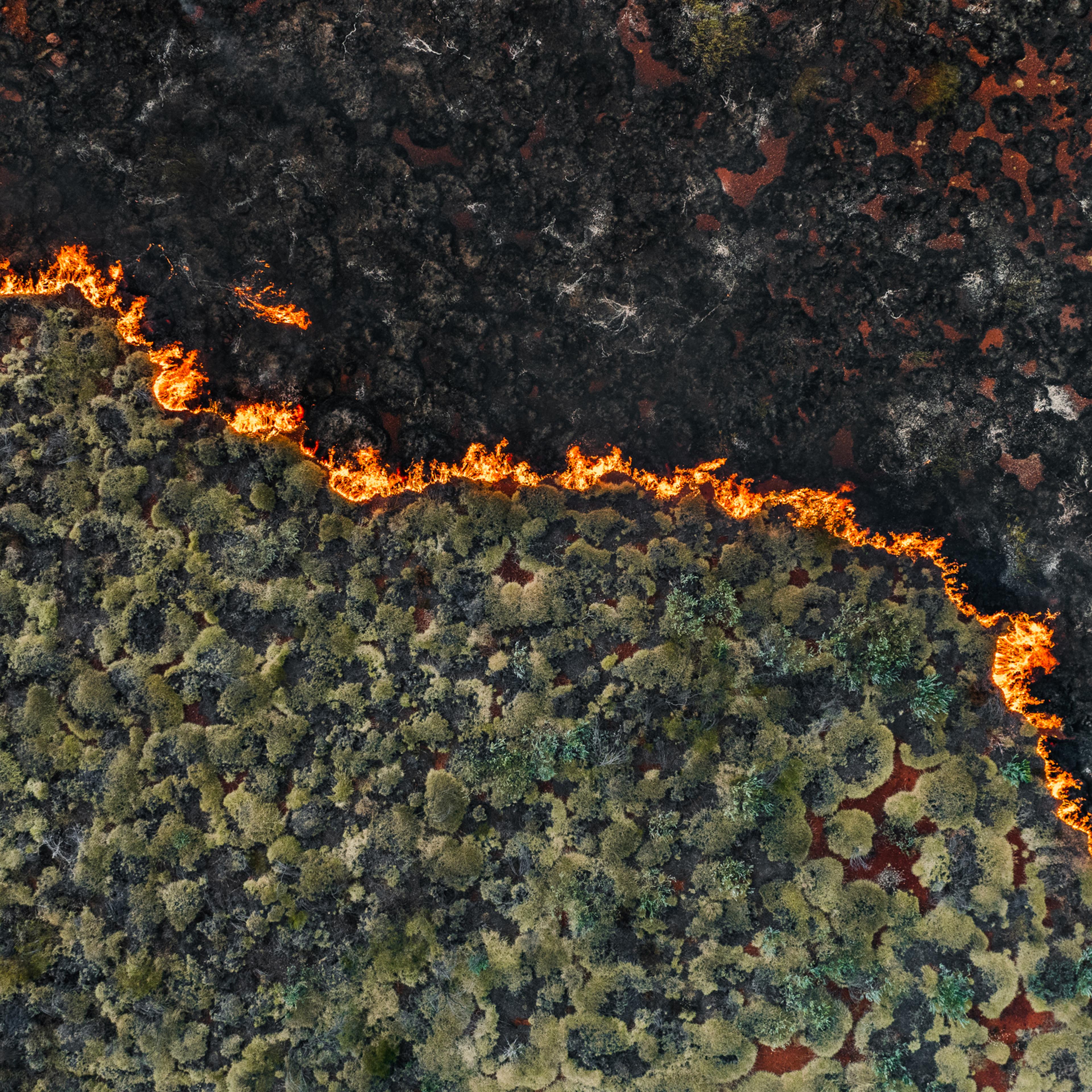 Permit burn spreading through green coloured bush land in the Australian outback photographed from a drone point of view, The Pilbara, Western Australia, Australia