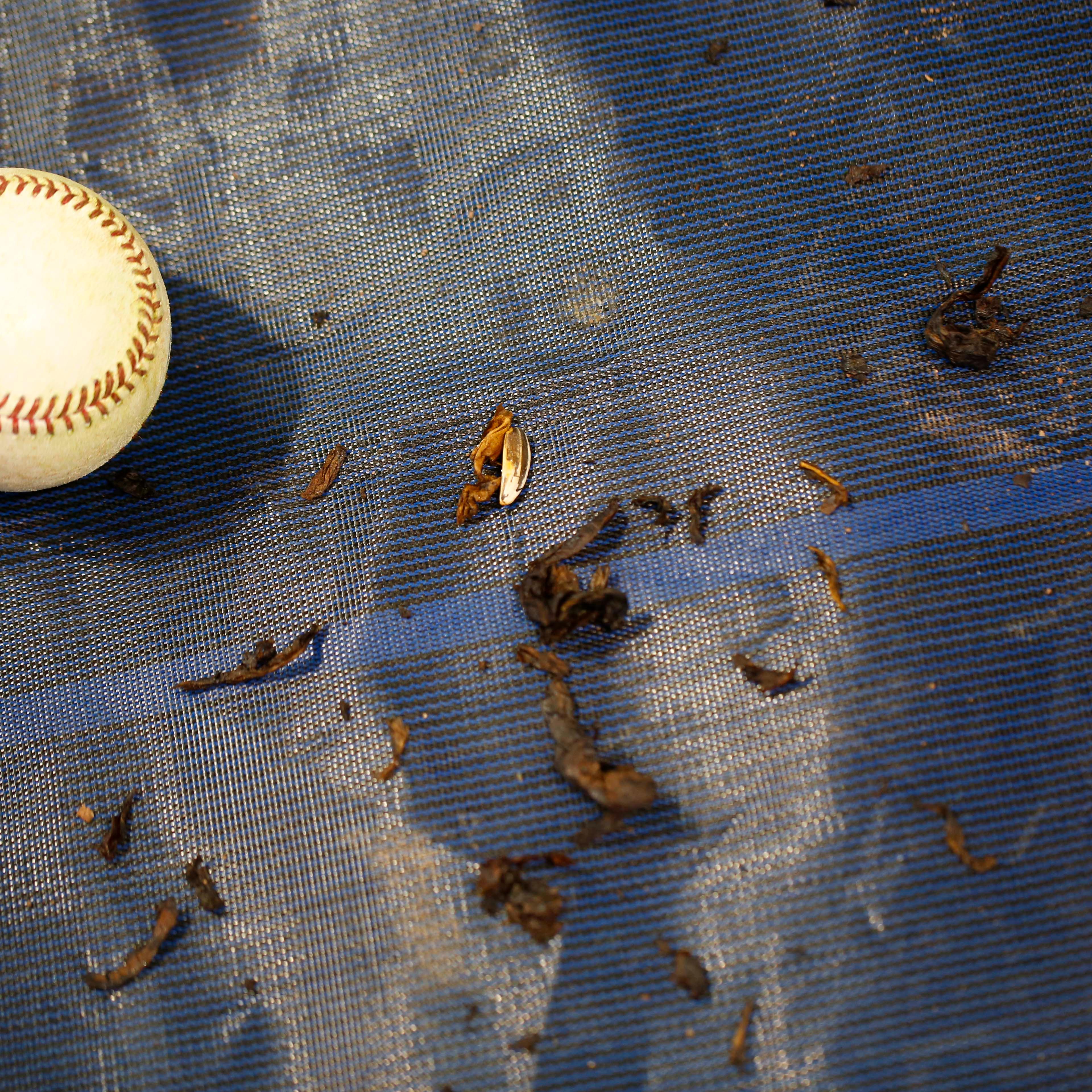 Colorado Rockies v Milwaukee Brewers