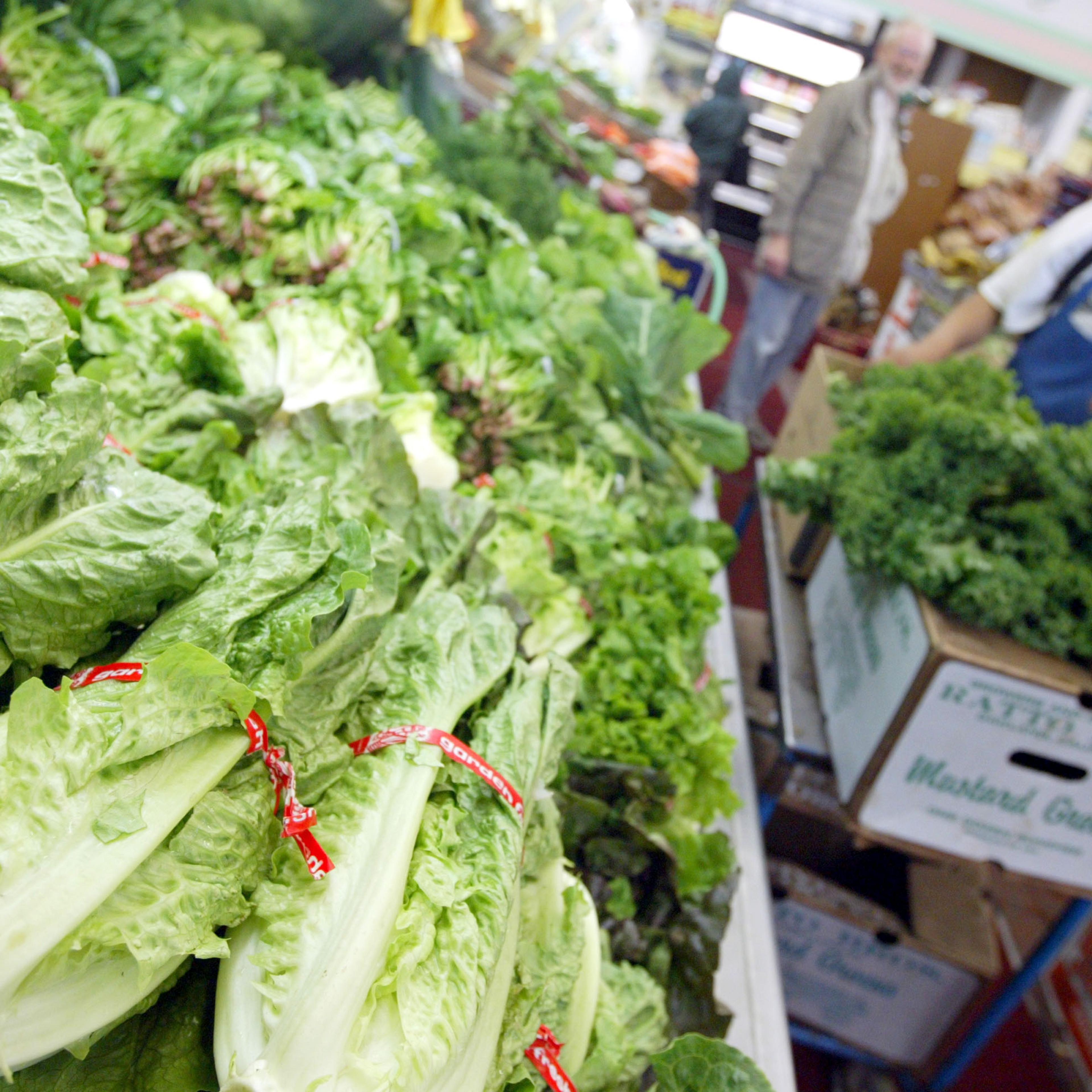 Traces Of Toxic Chemical Found In California Lettuce