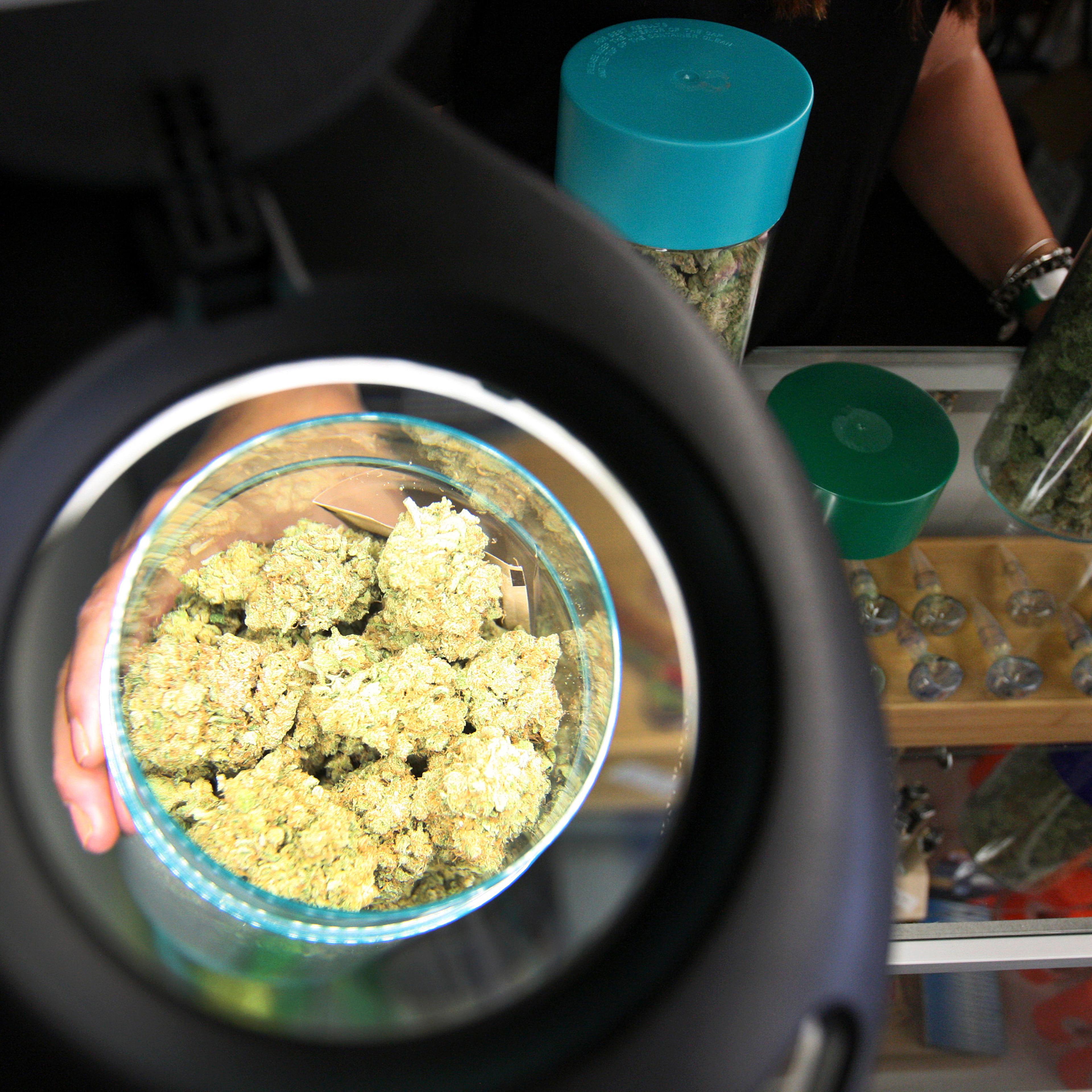 Marijuana is seen under a magnifier at the medical marijuana farmers market in Los Angeles