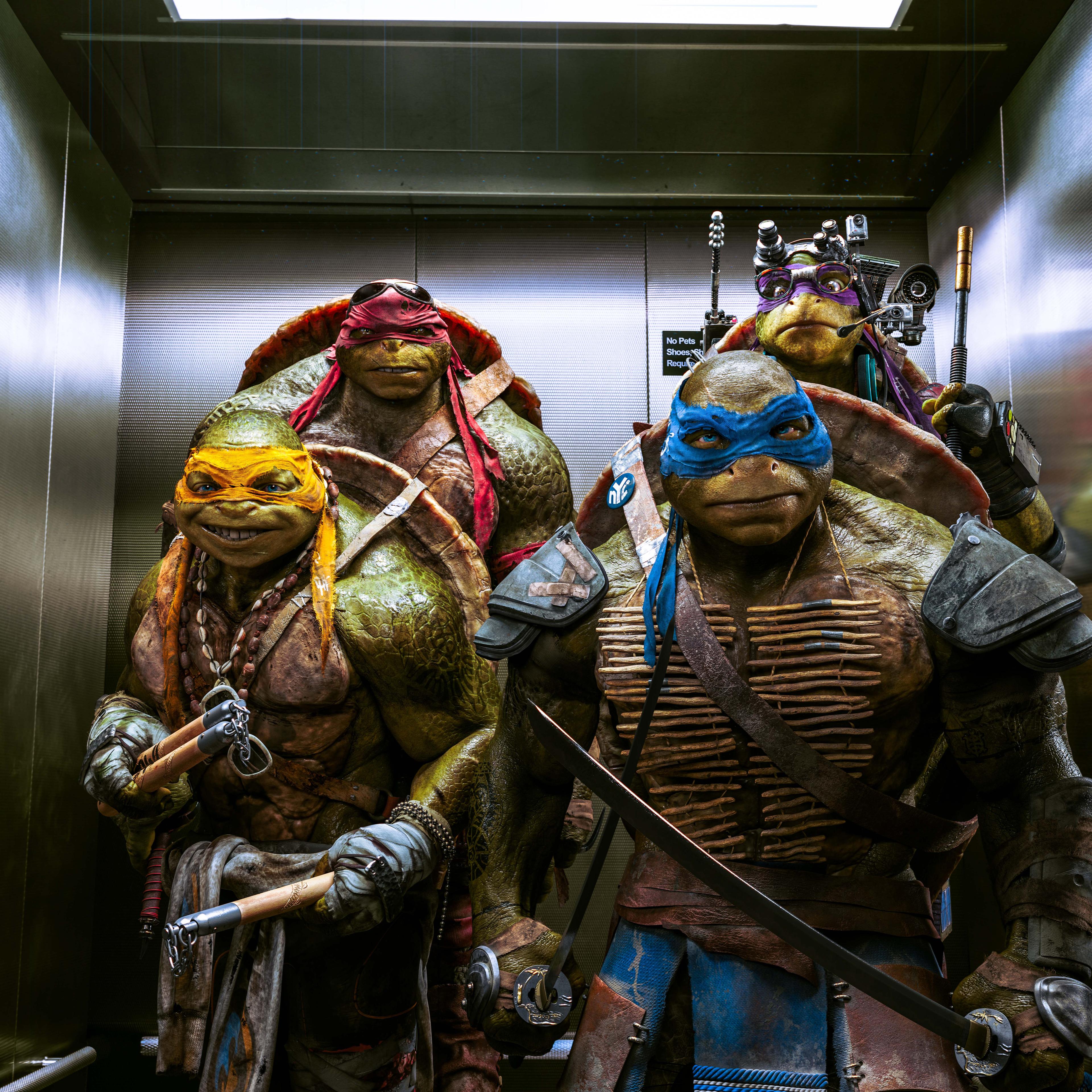 TEENAGE MUTANT NINJA TURTLES