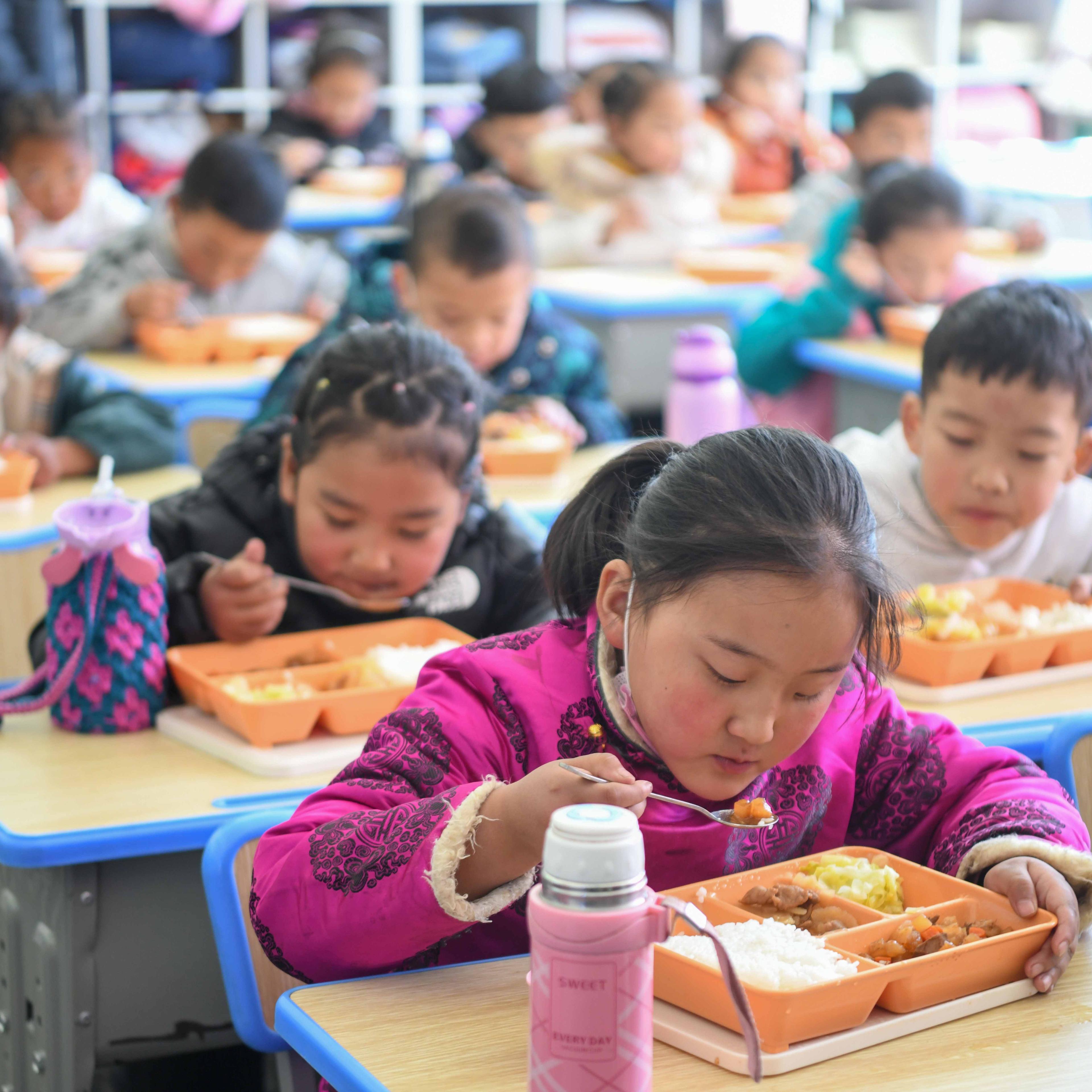 Catering Service For Primary Schools In Lhasa
