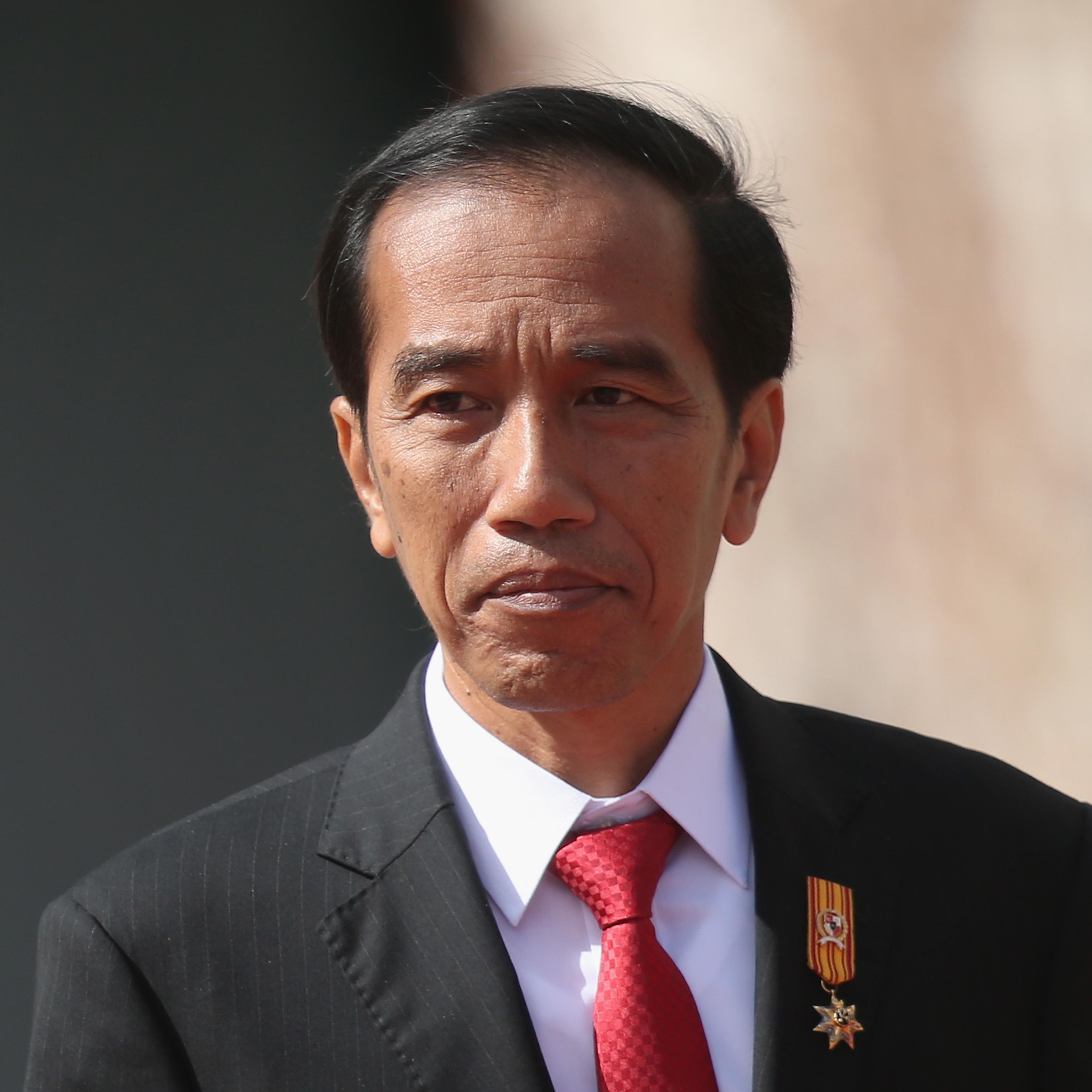 Indonesian President Widodo Meets Angela Merkel