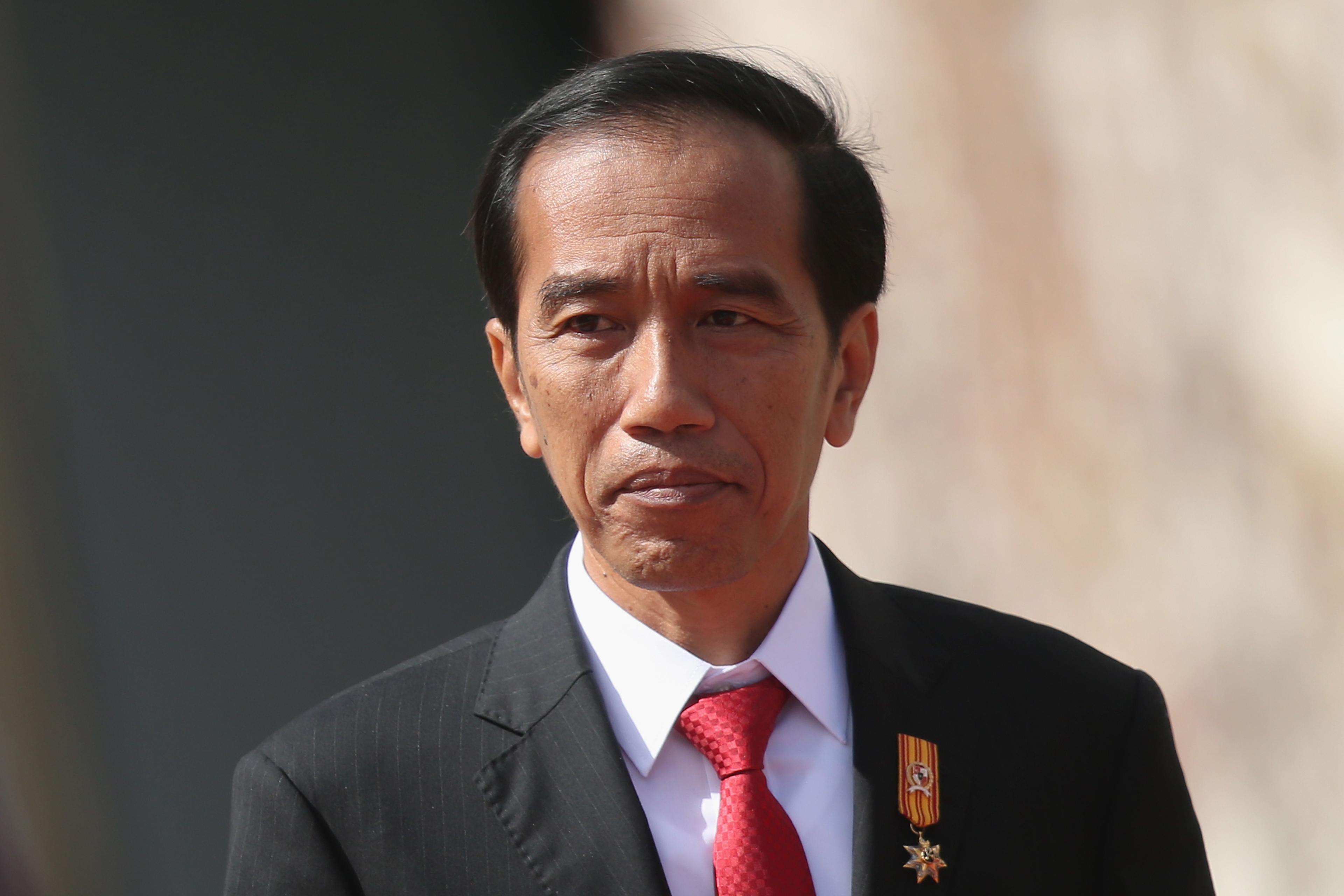 Indonesian President Widodo Meets Angela Merkel