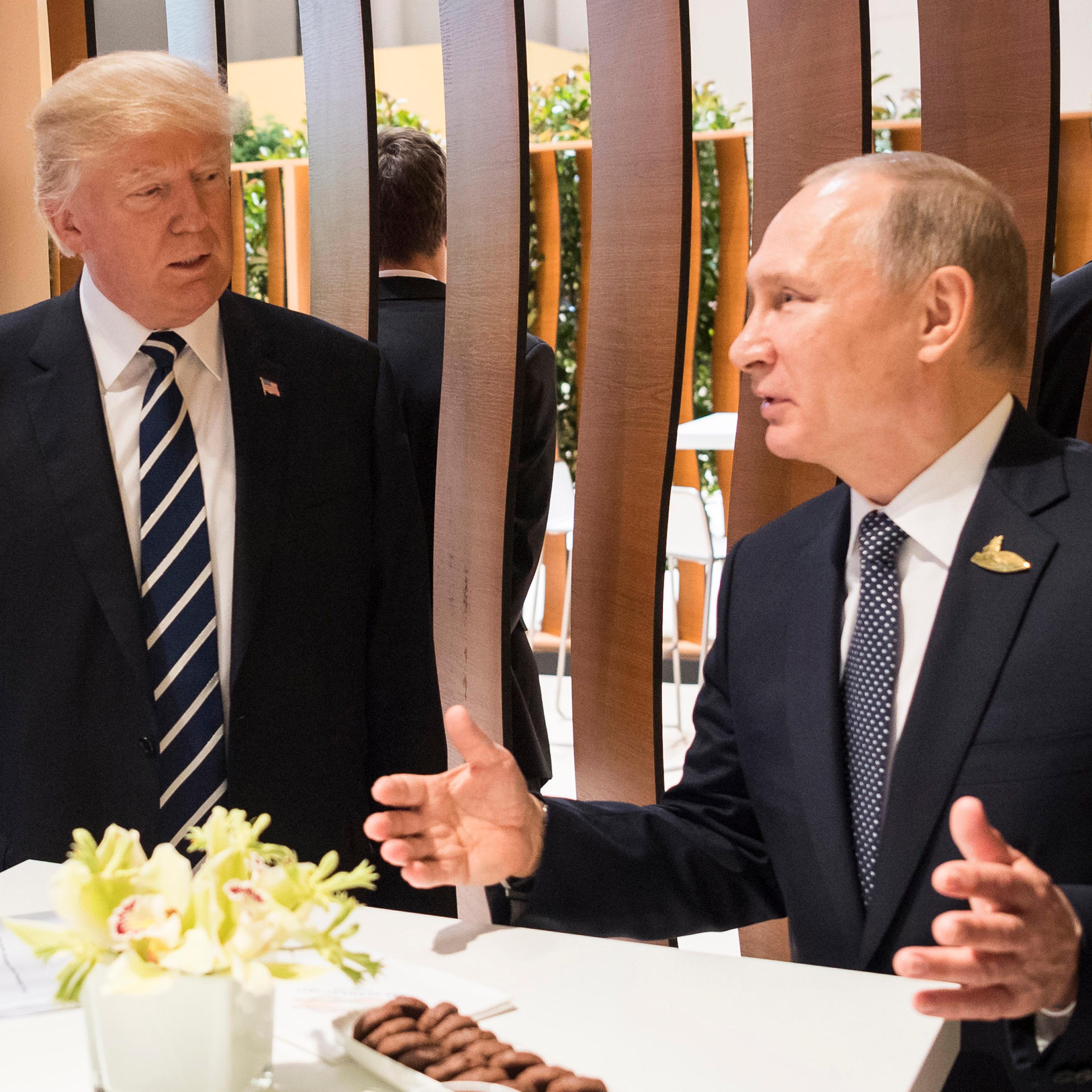 President Donald Trump meets Russian President Vladimir Putin during the G20 Summit on July 7, 2017 in Hamburg.