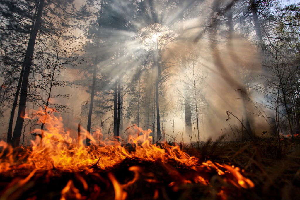 Wildfire in Irkutsk Region, Russia