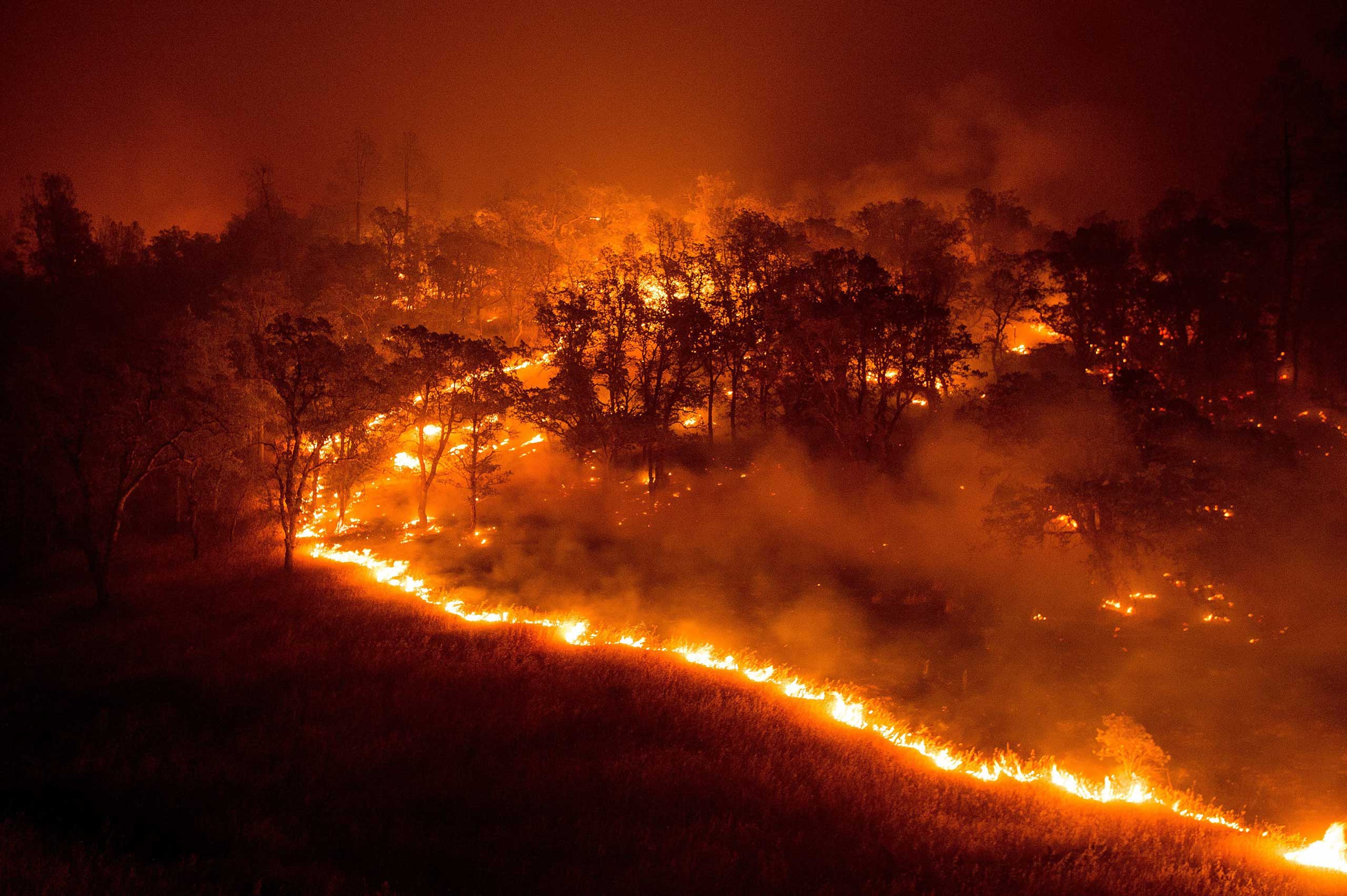 California Wildfire Rocky Fire Lake County