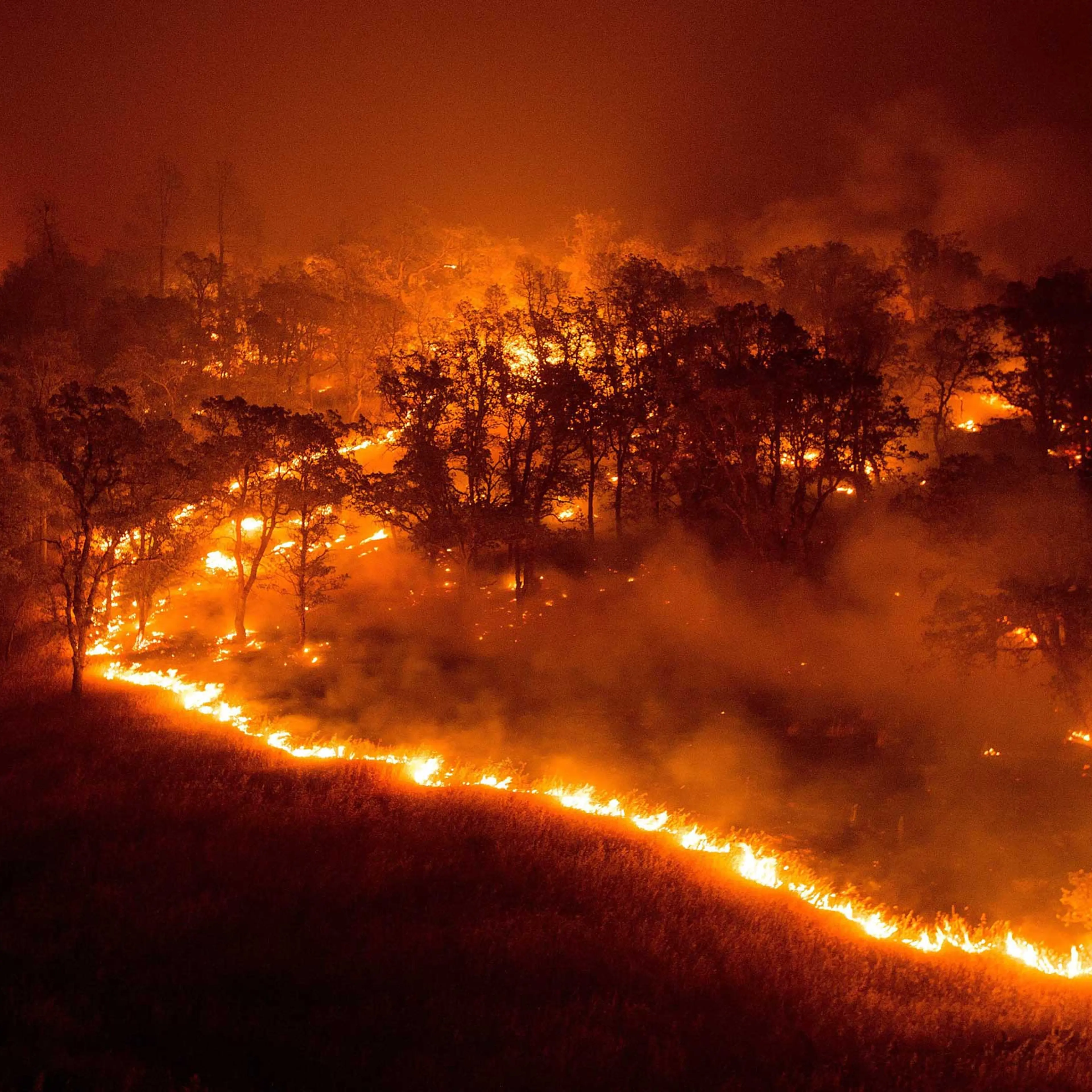 California Wildfire Rocky Fire Lake County