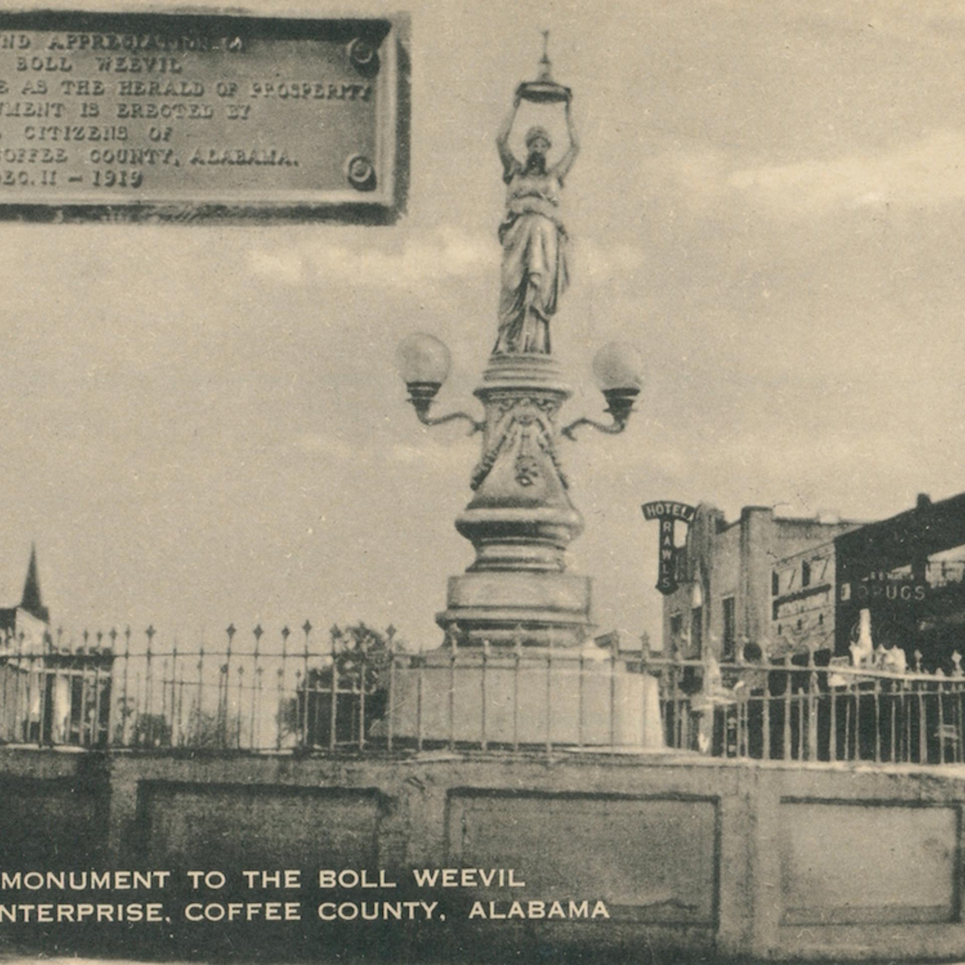 Monument To The Boll Weevil, At