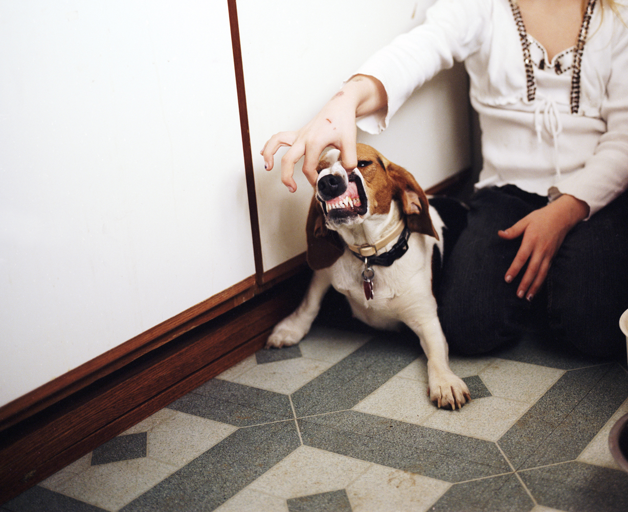 Beagles smile for every picture.  2010 