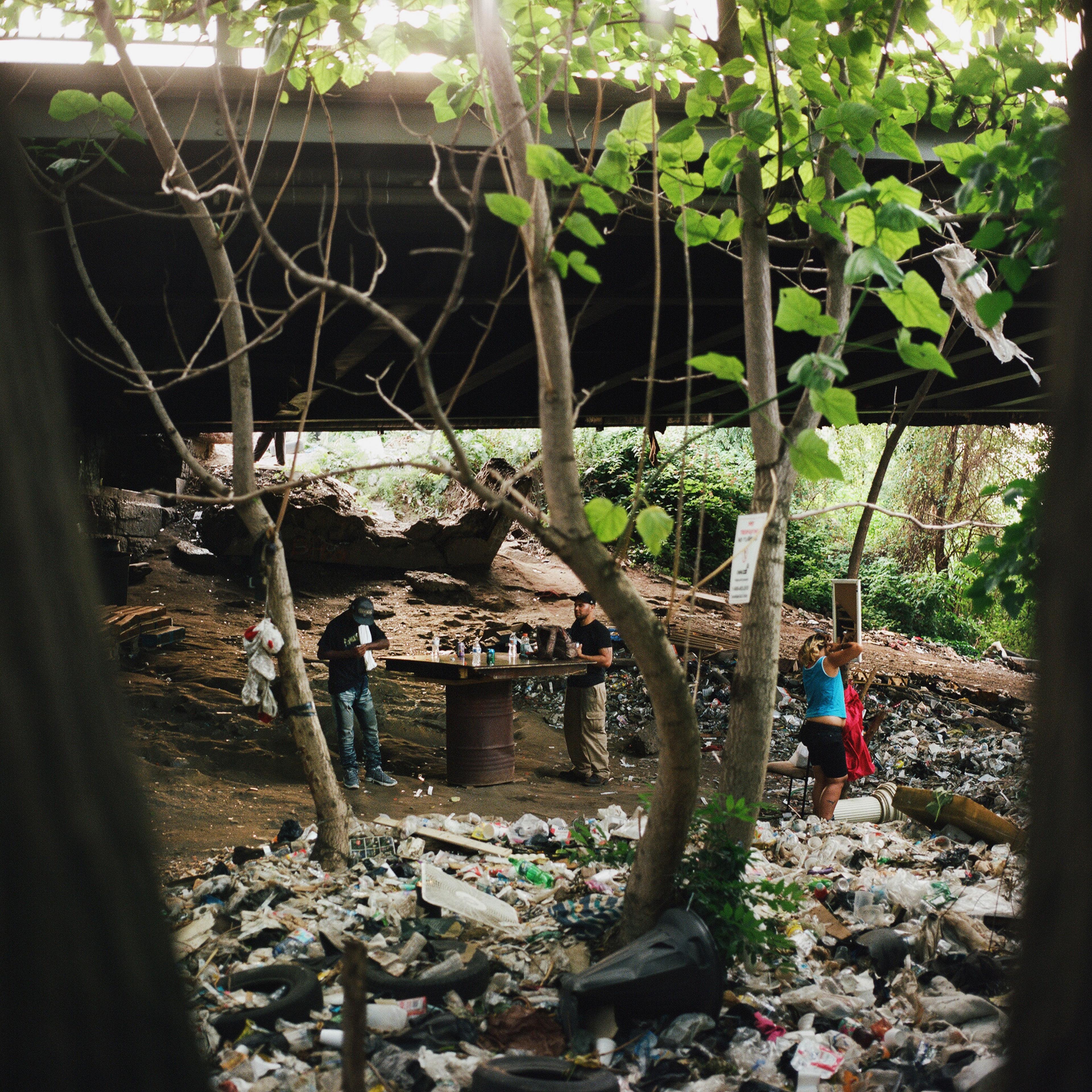 Kensington Blues Photography Project