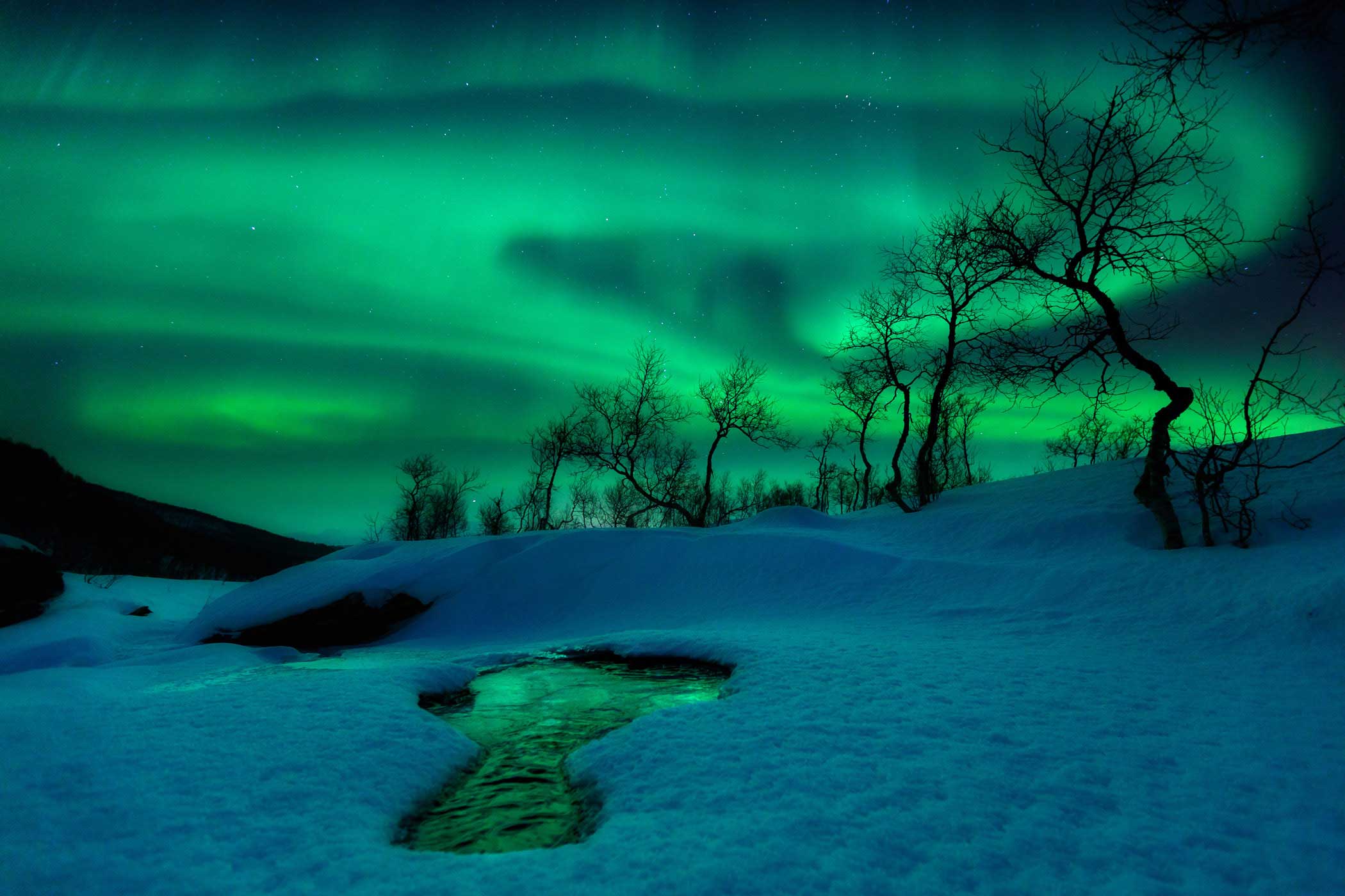 The aurora borealis traces the shifting patterns of the Earth's magnetic field, creating a spectacular midwinter show in Nordland Fylke, Norway. The green light in this image comes from oxygen atoms high in the atmosphere, which have been energized by su